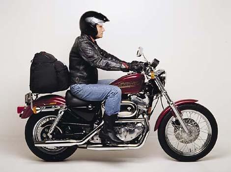 0004038_xlh-sportster-883__68944.1552823973.1280.1280.jpg
