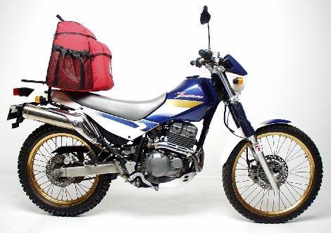 0004247_kl-250-super-sherpa__33218.1552824409.1280.1280.jpg