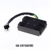 GAE 410110401002