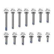 QUAD LOCK Replacement Screw Set - V2