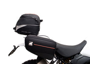 Ducati DesertX (22 - >)