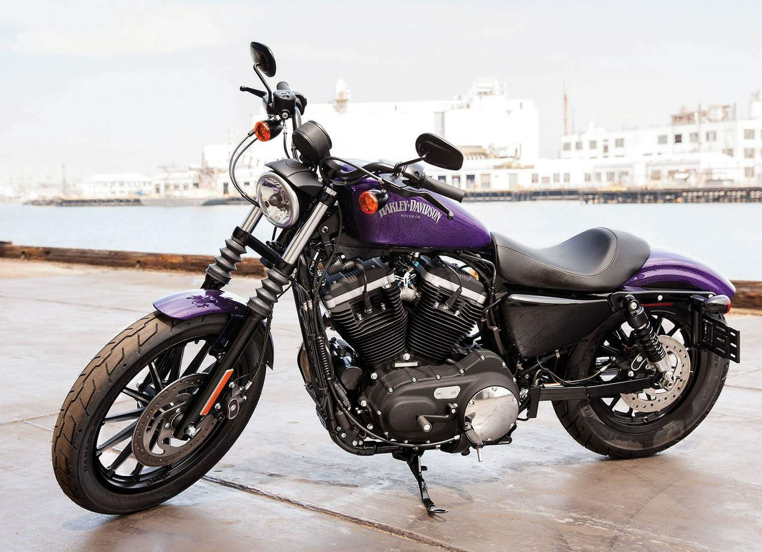 Harley_XL883N_Iron_883_14.jpg