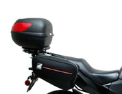 Pannier Support System