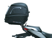 Suzuki GSX 150 FDF, FDX, FDZ (2021 - >)