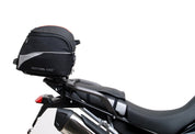Triumph Tiger 900 GT Pro, Rally Pro (20 - >)