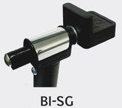 bi-sg