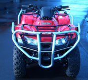 Honda TRX 250 TE, TM (17 - >)