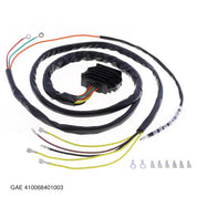 GAE 410068401003