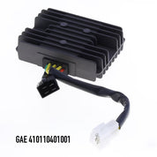 GAE 410110401001