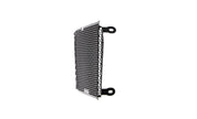 EP Aprilia Shiver SL 750 Radiator Guard 2007 - 2017