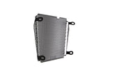 EP Aprilia Shiver SL 750 Radiator Guard 2007 - 2017