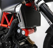 EP Aprilia Shiver SL 750 Radiator Guard 2007 - 2017