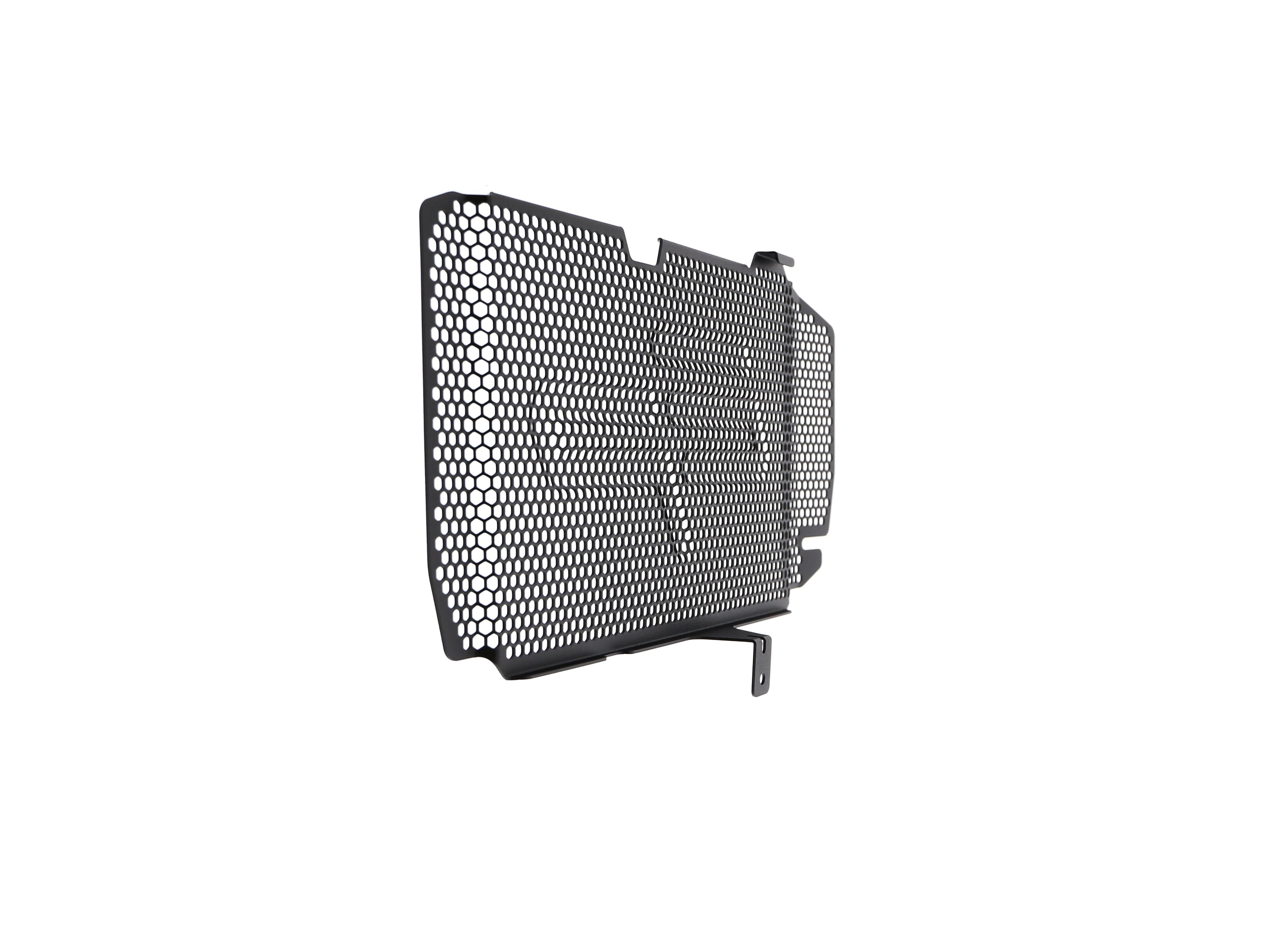 EP BMW F 800 R Radiator Guard 2015-2019