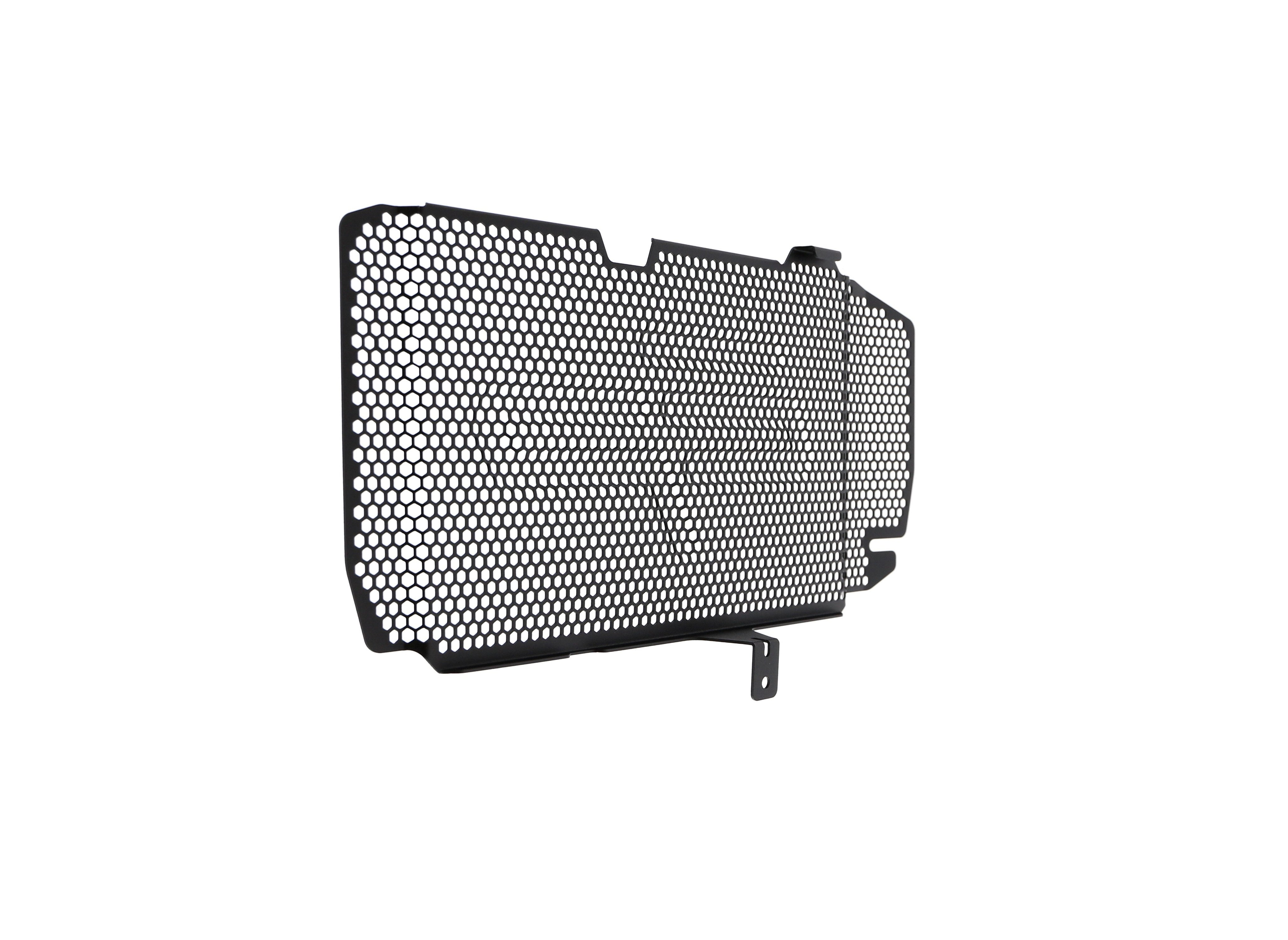 EP BMW F 800 R Radiator Guard 2015-2019