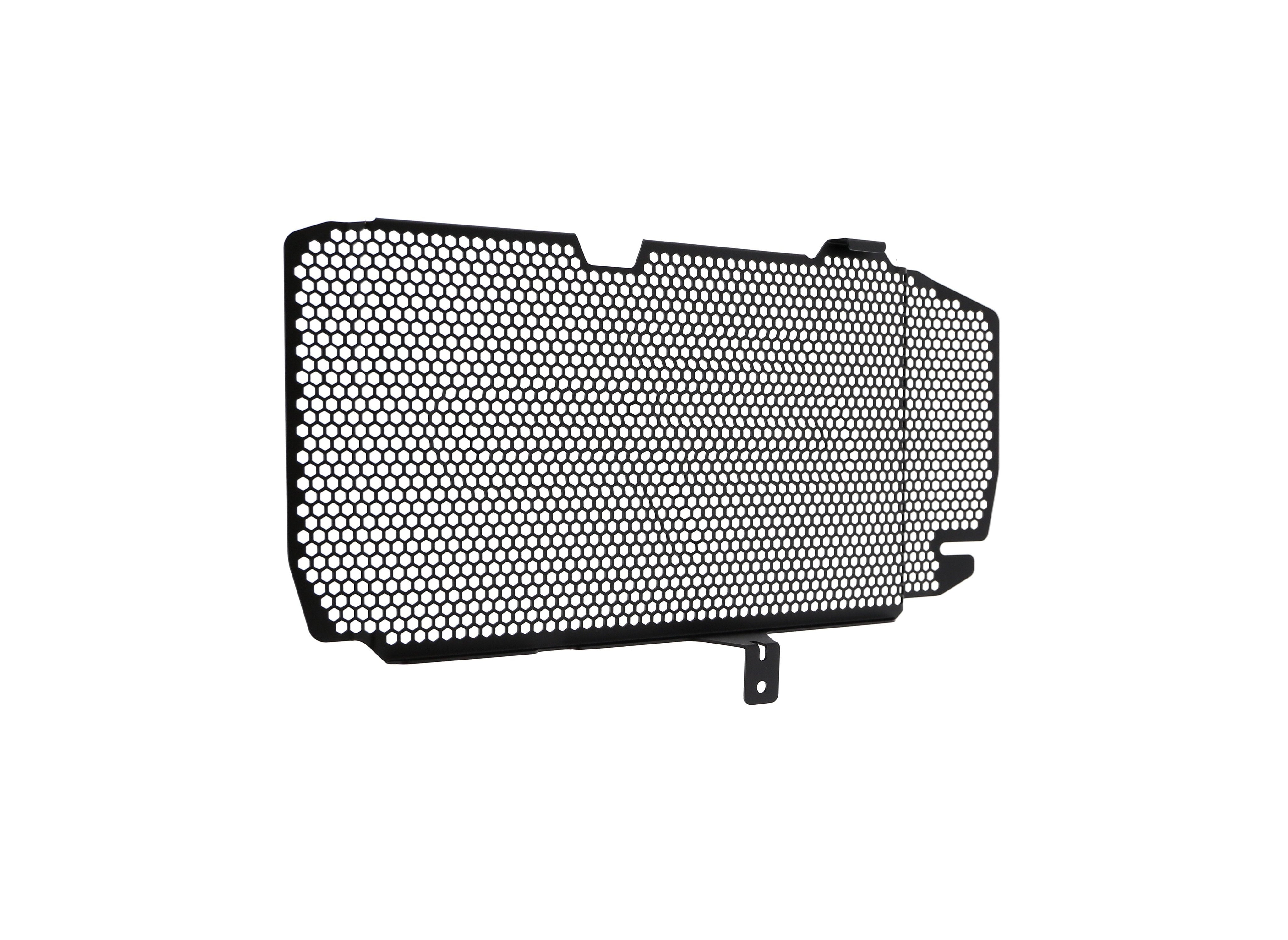 EP BMW F 800 R Radiator Guard 2015-2019