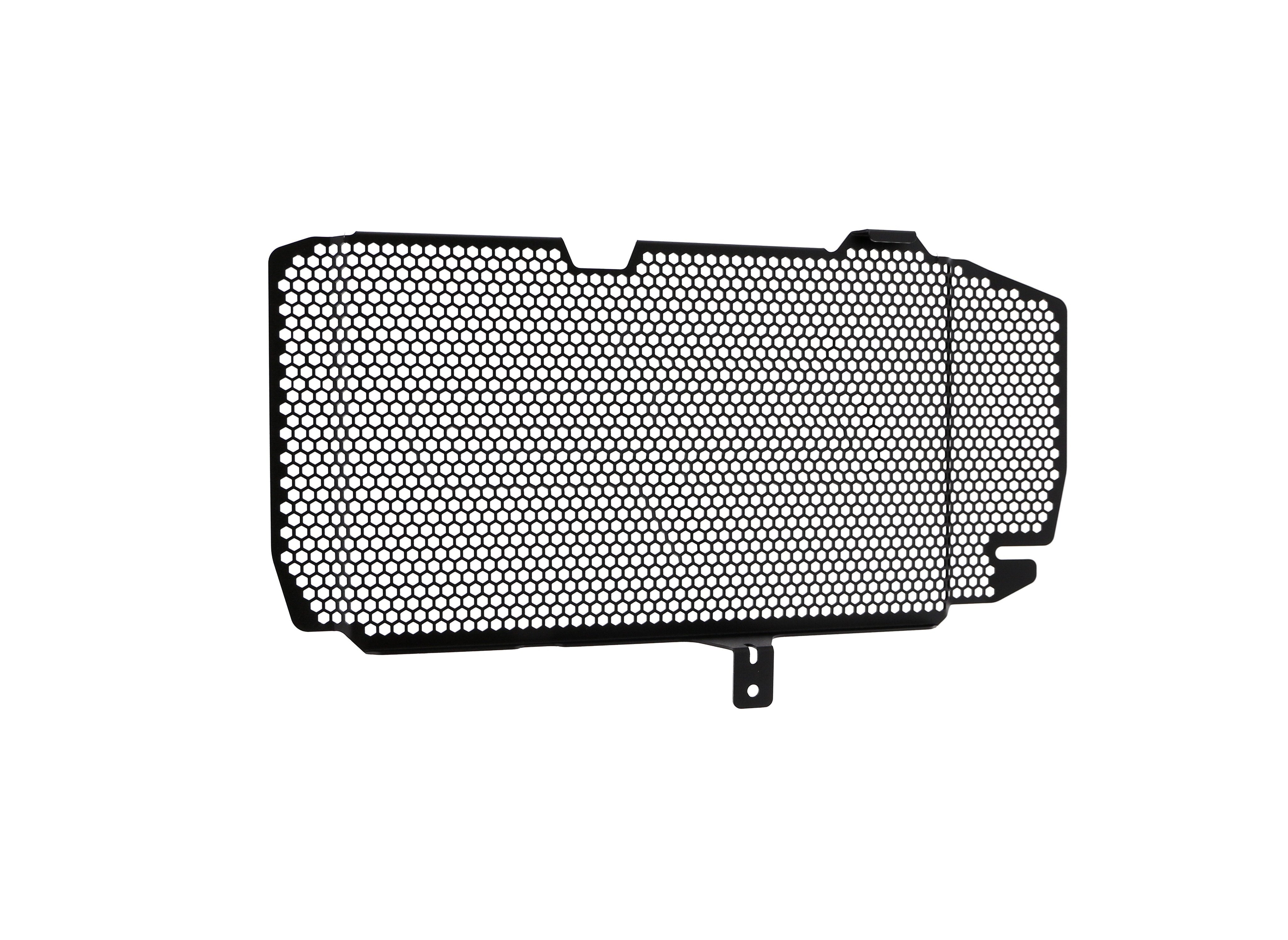 EP BMW F 800 R Radiator Guard 2015-2019