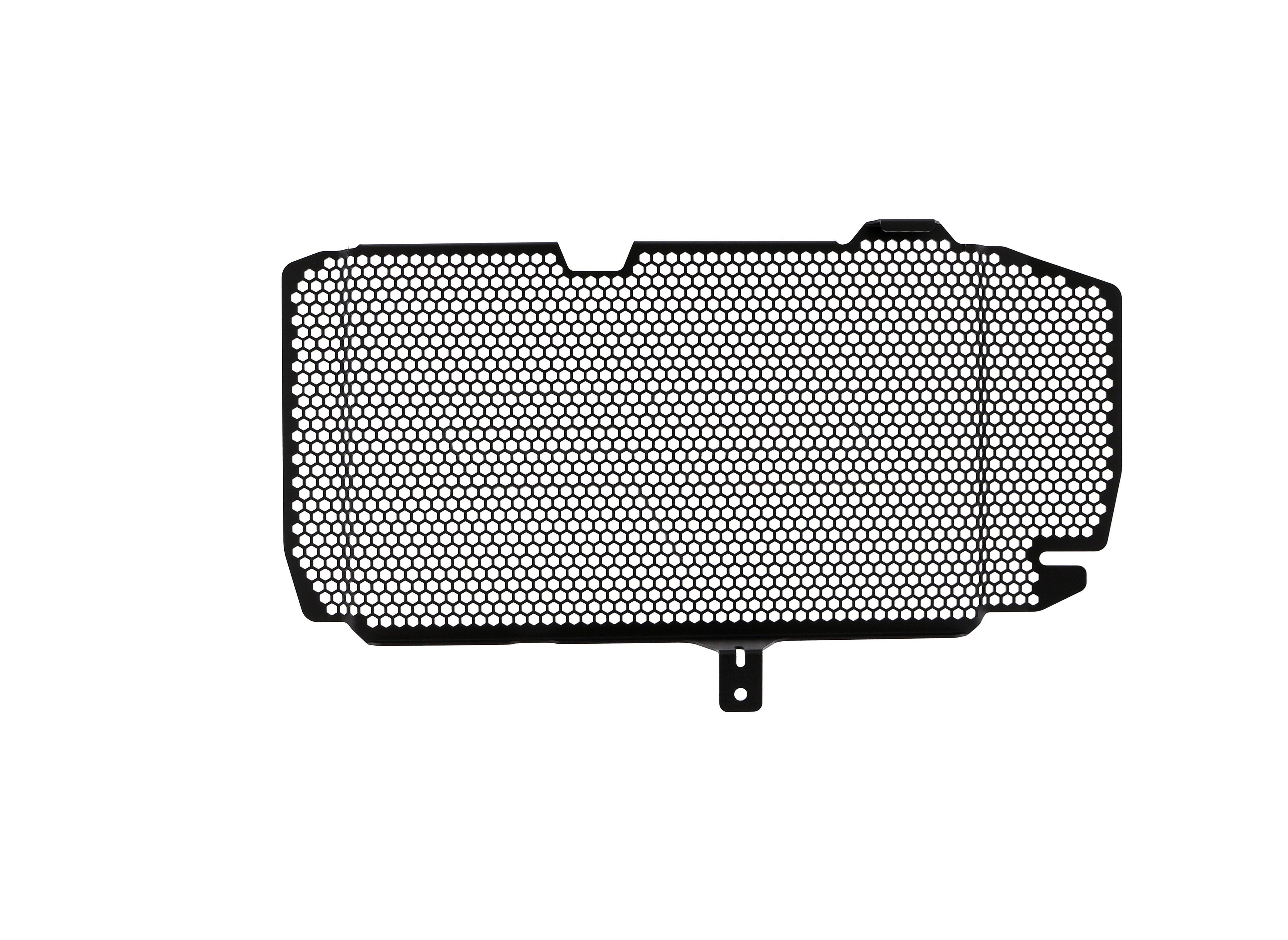 EP BMW F 800 R Radiator Guard 2015-2019