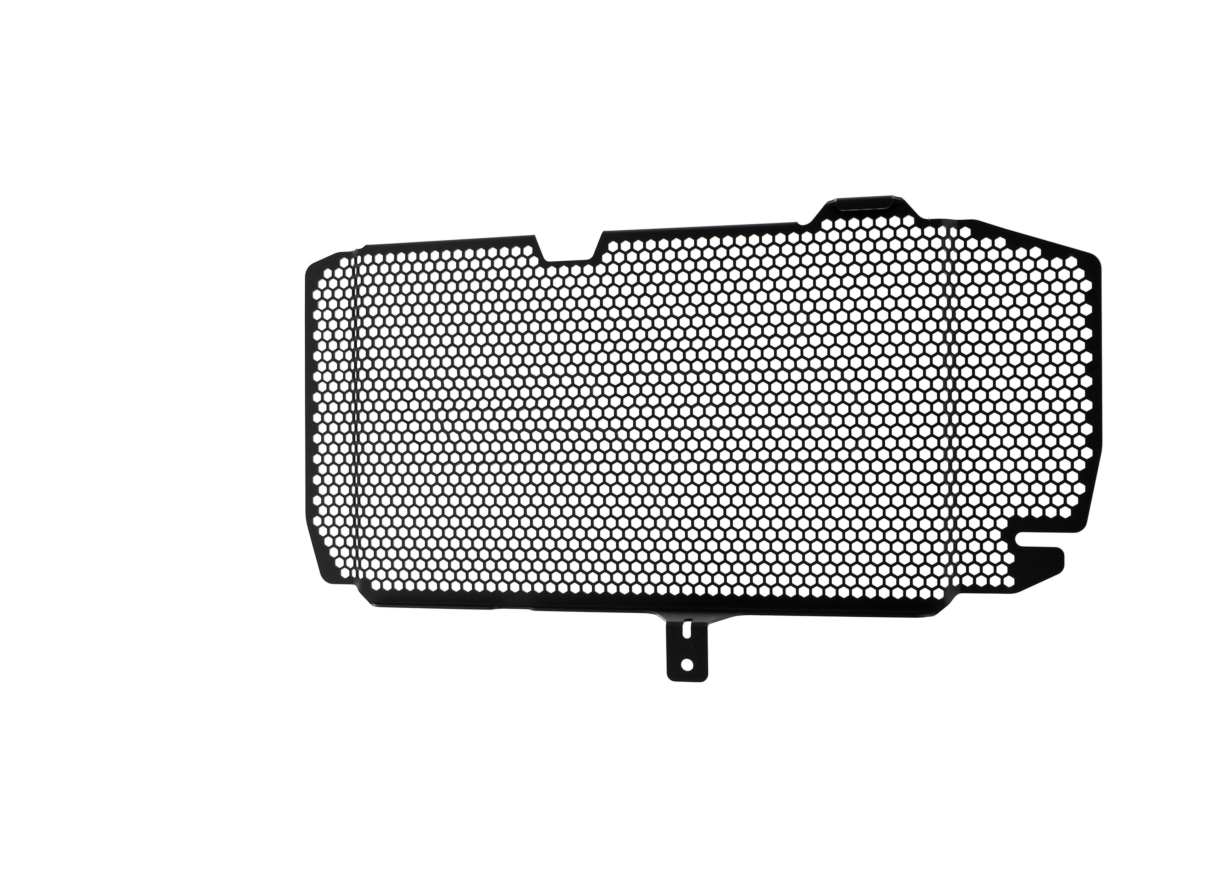 EP BMW F 800 R Radiator Guard 2015-2019