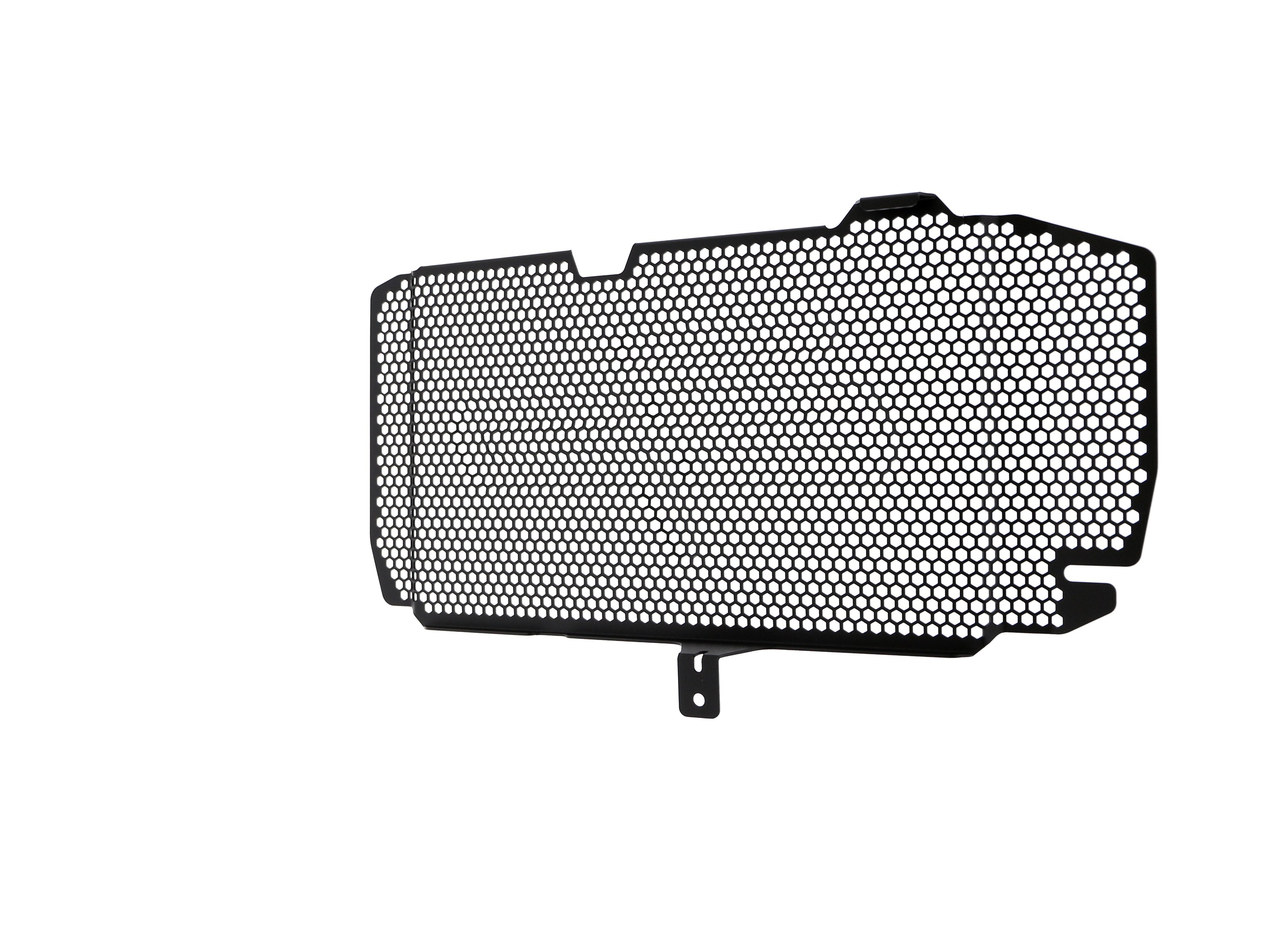 EP BMW F 800 R Radiator Guard 2015-2019