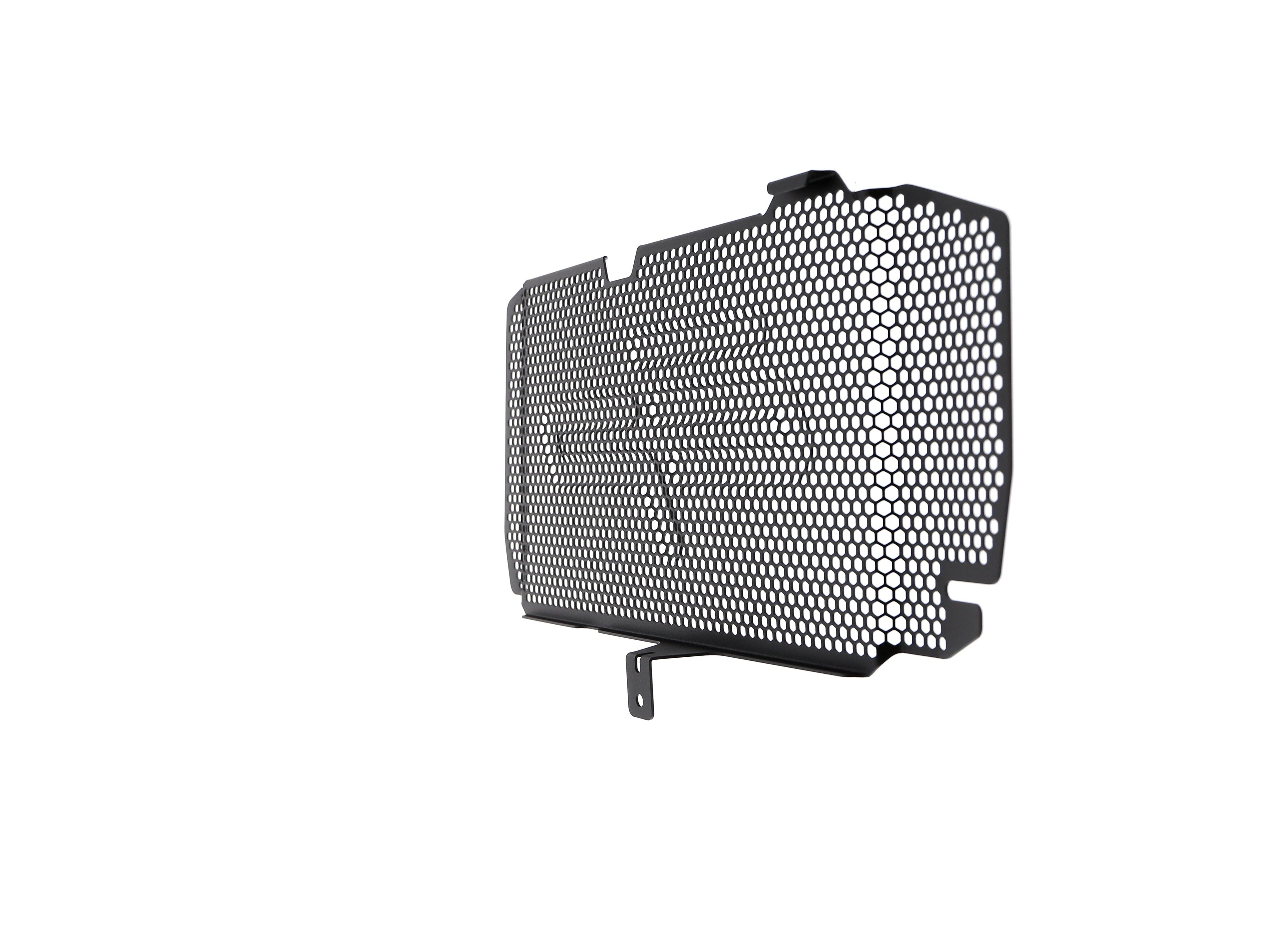 EP BMW F 800 R Radiator Guard 2015-2019