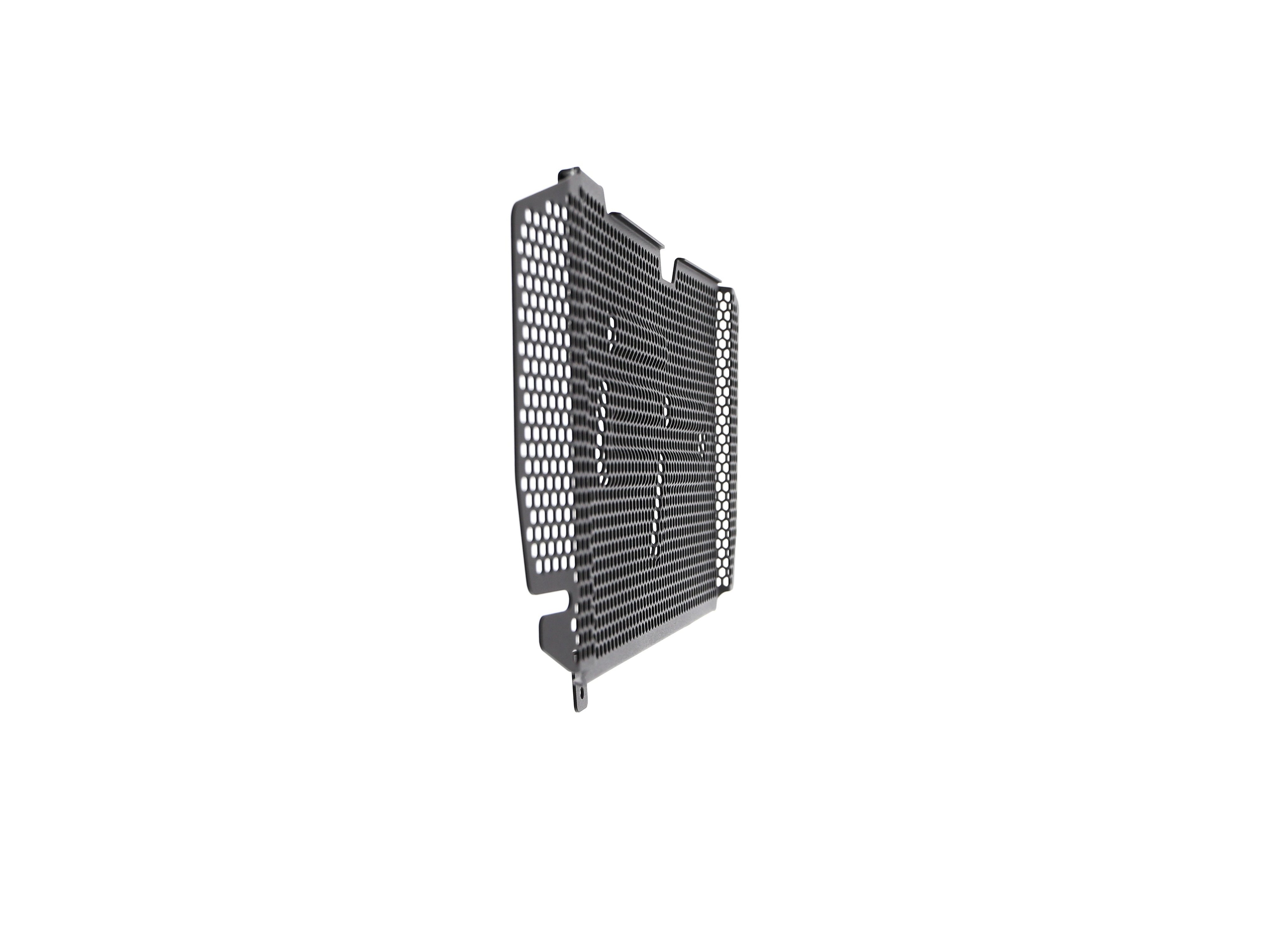 EP BMW F 800 R Radiator Guard 2015-2019