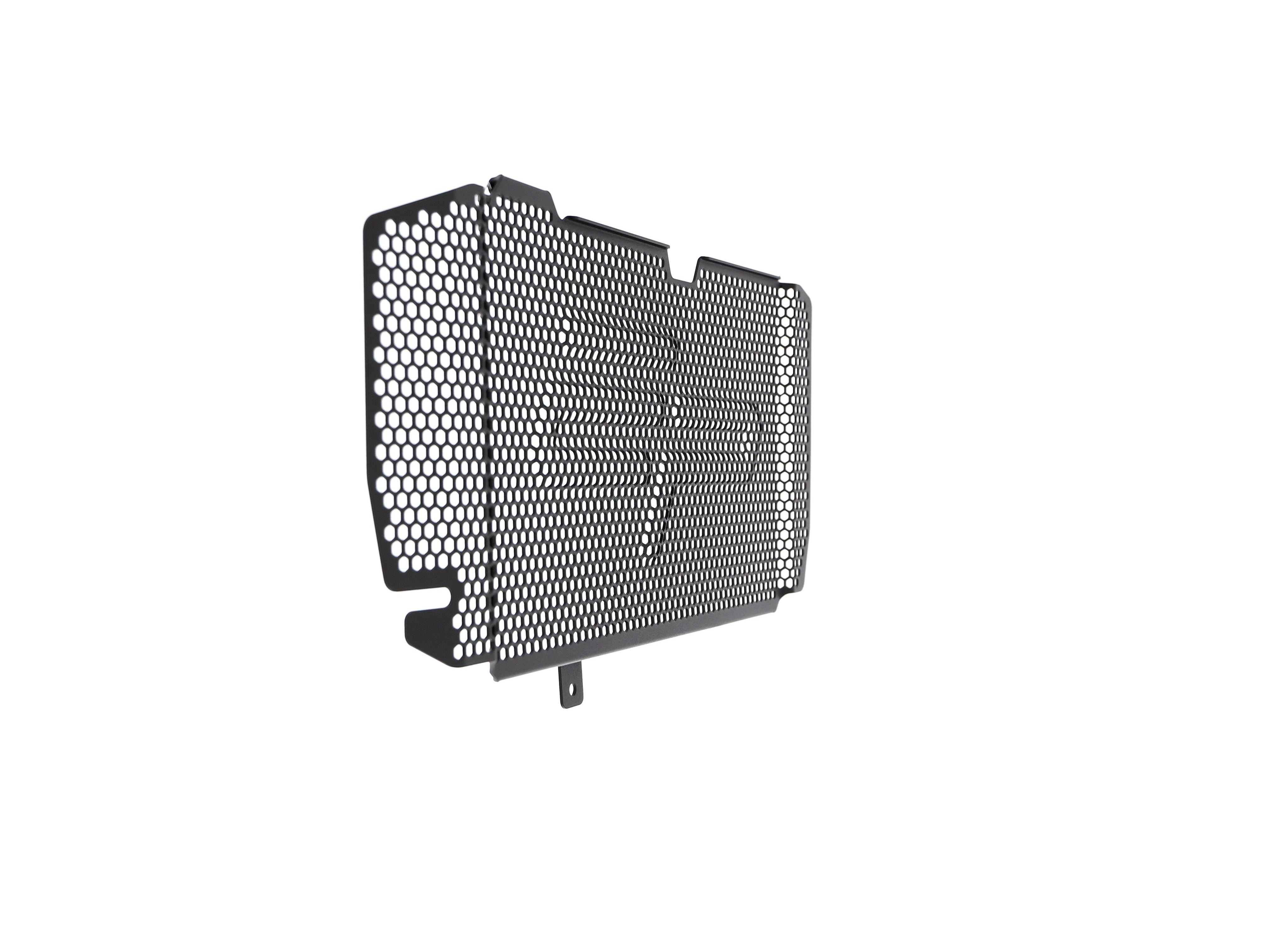 EP BMW F 800 R Radiator Guard 2015-2019