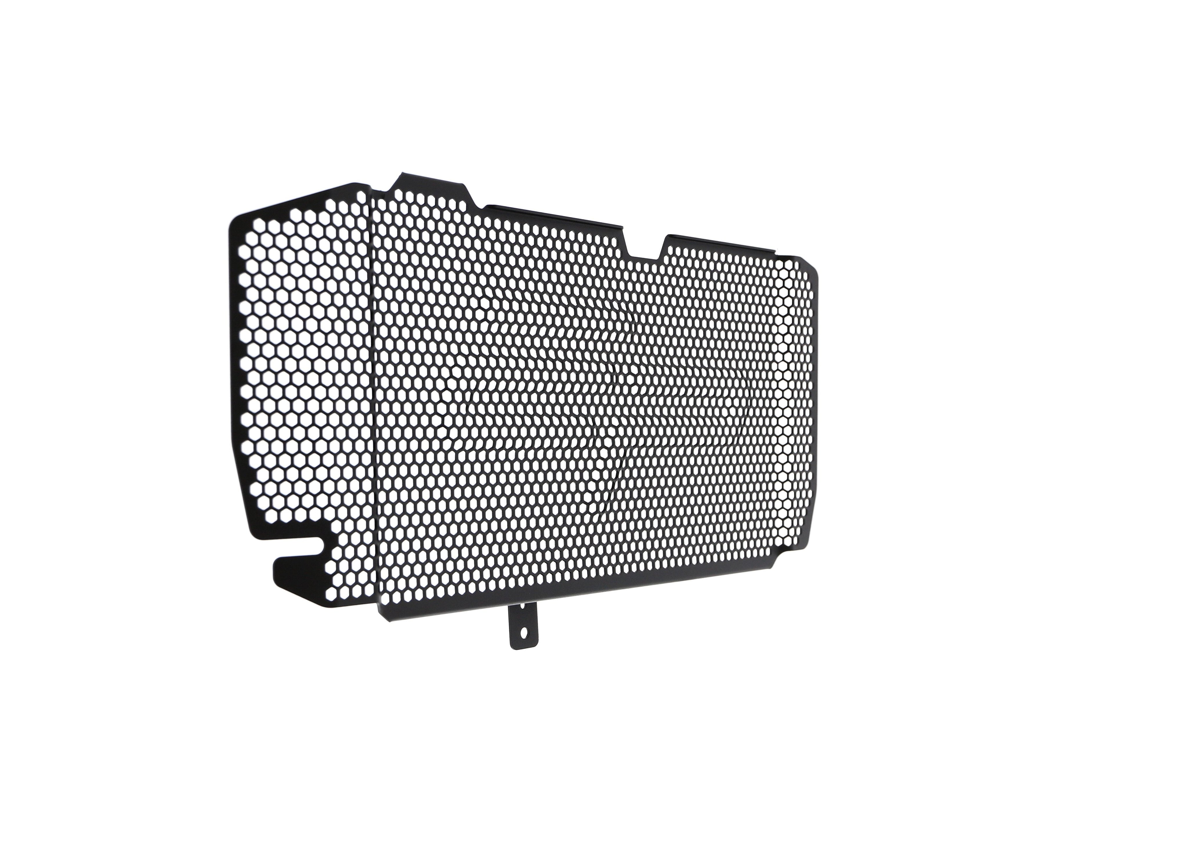 EP BMW F 800 R Radiator Guard 2015-2019