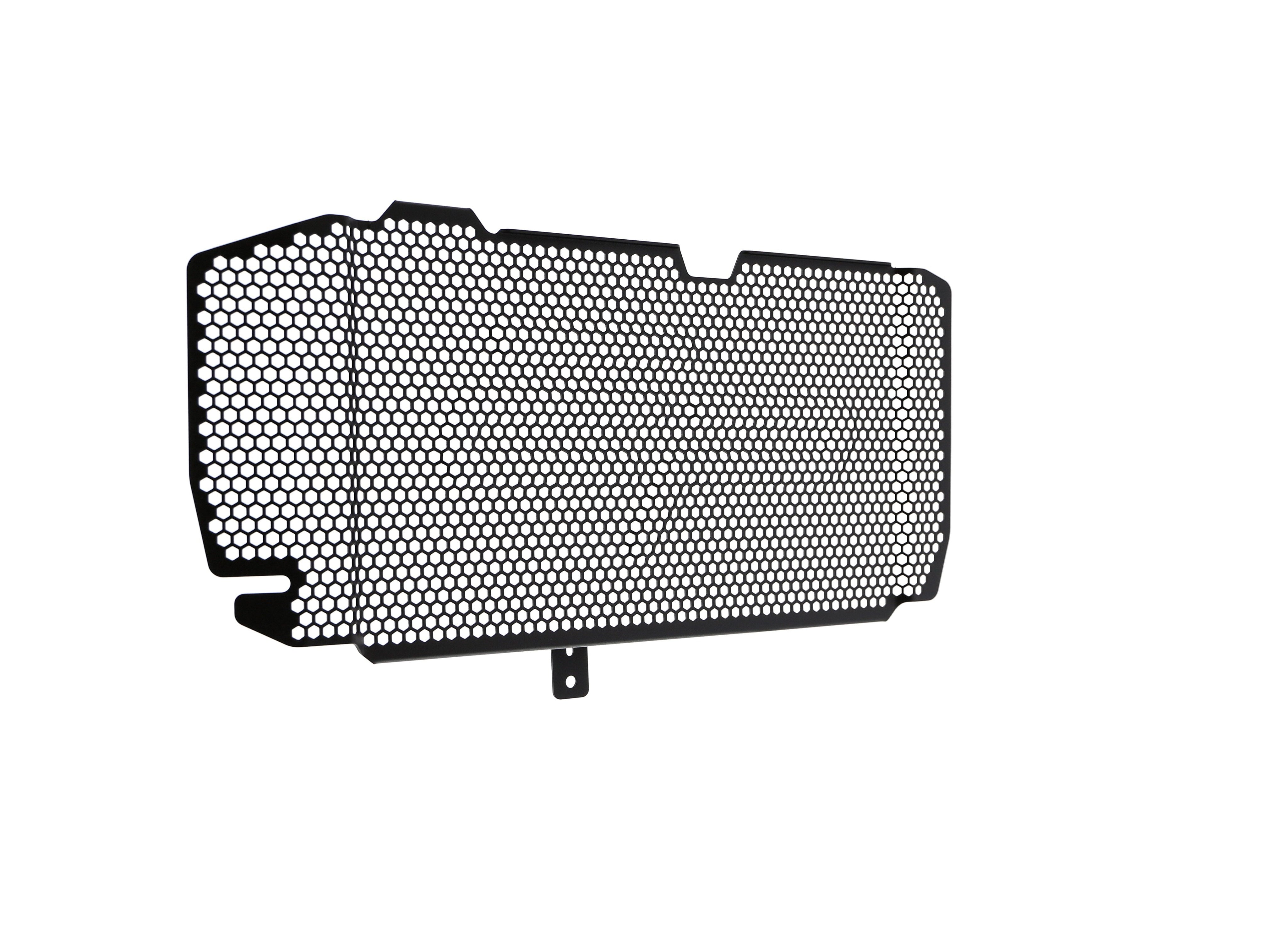 EP BMW F 800 R Radiator Guard 2015-2019