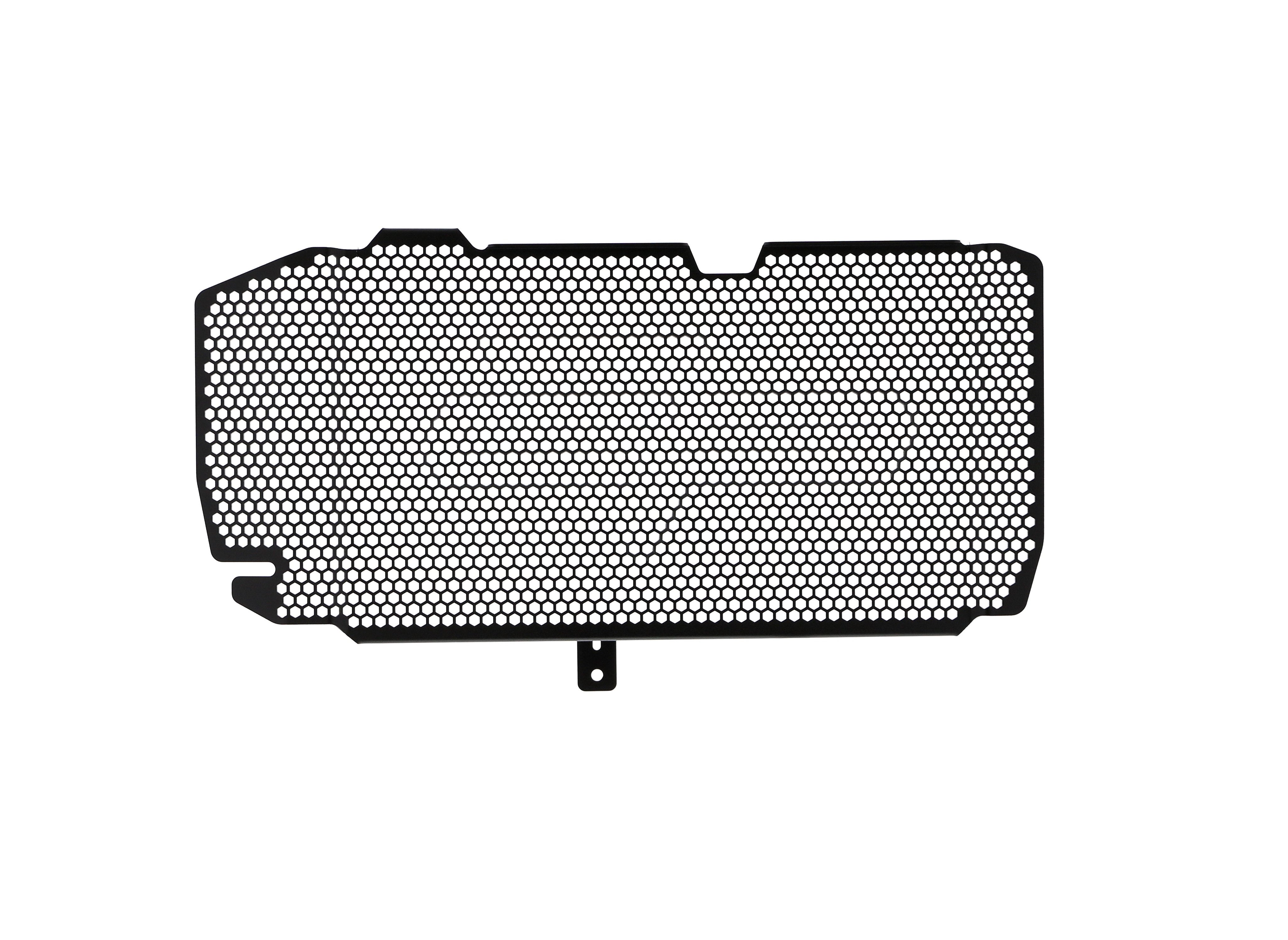 EP BMW F 800 R Radiator Guard 2015-2019