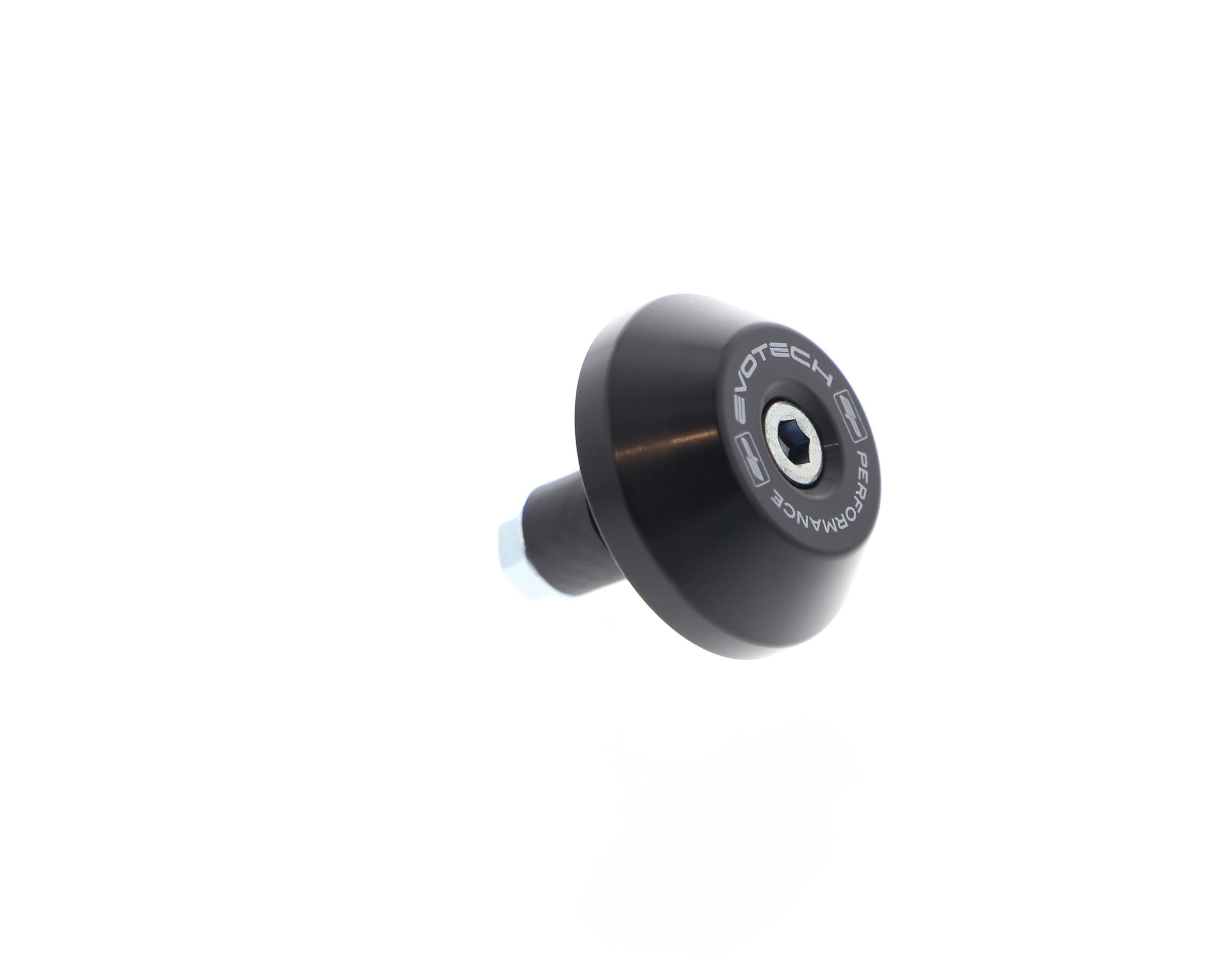 EP Swingarm Protection - BMW R nineT Scrambler (2017+)