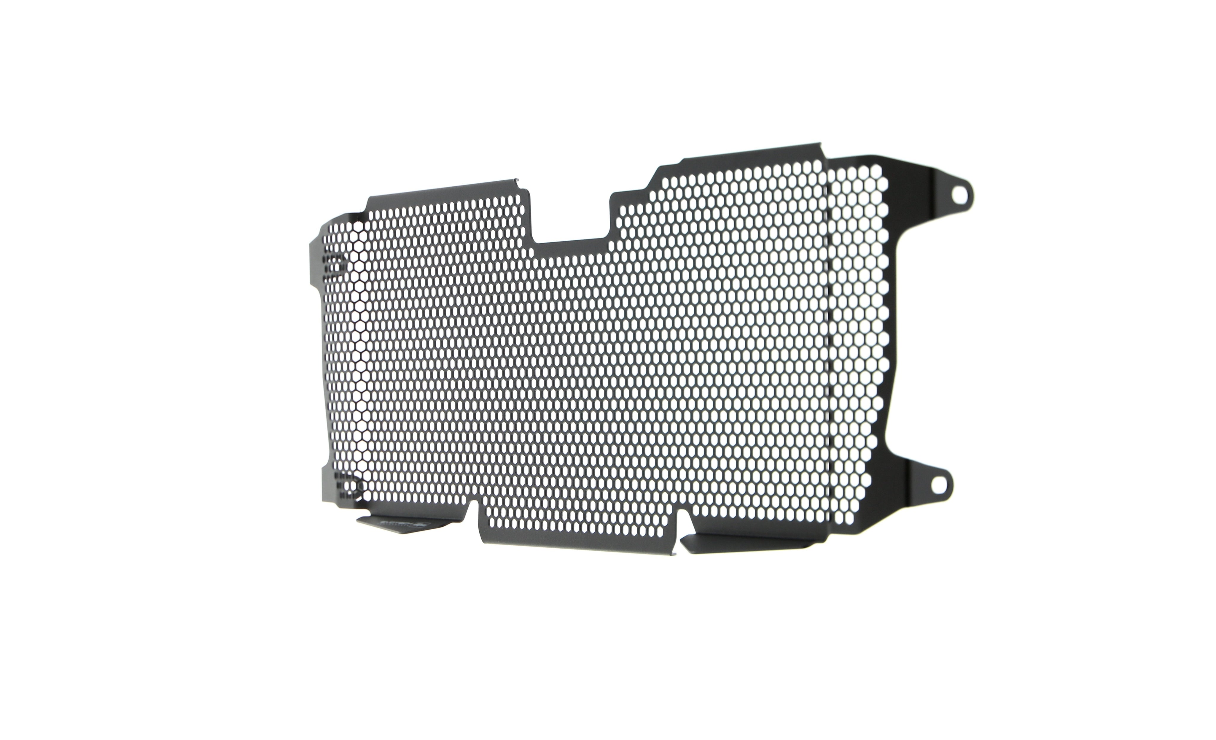 EP BMW R 1200 R Radiator Guard 2015 - 2018