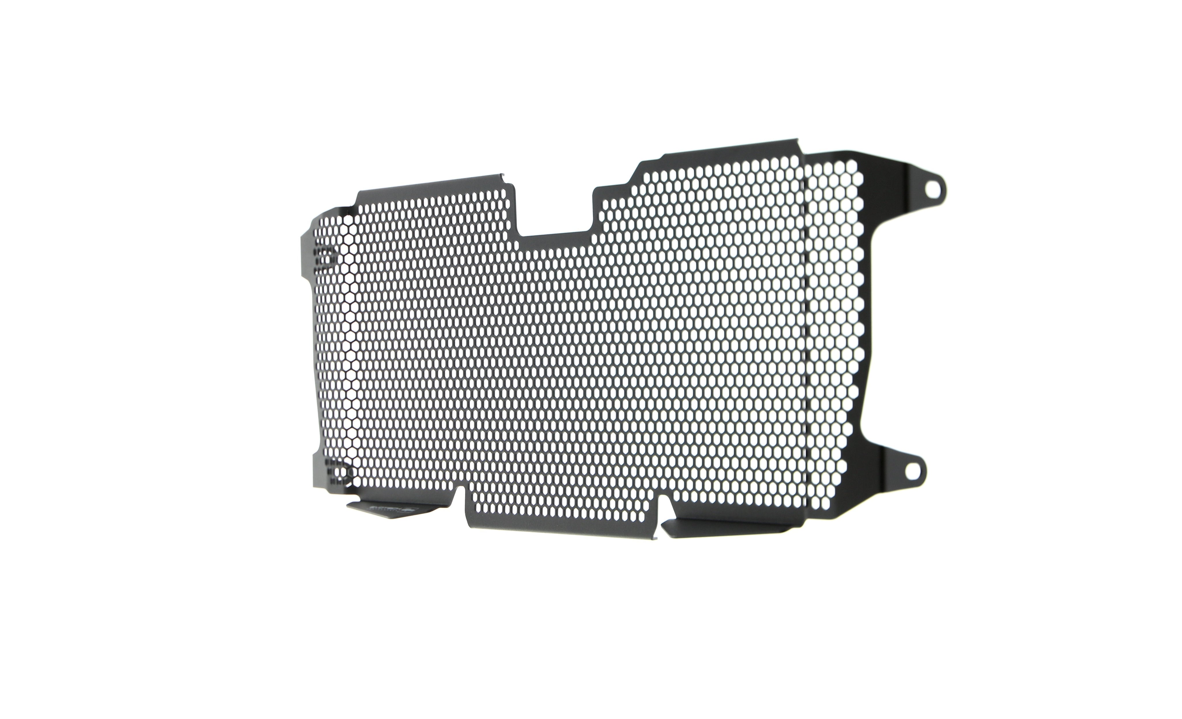EP BMW R 1200 RS Radiator Guard 2015 - 2018