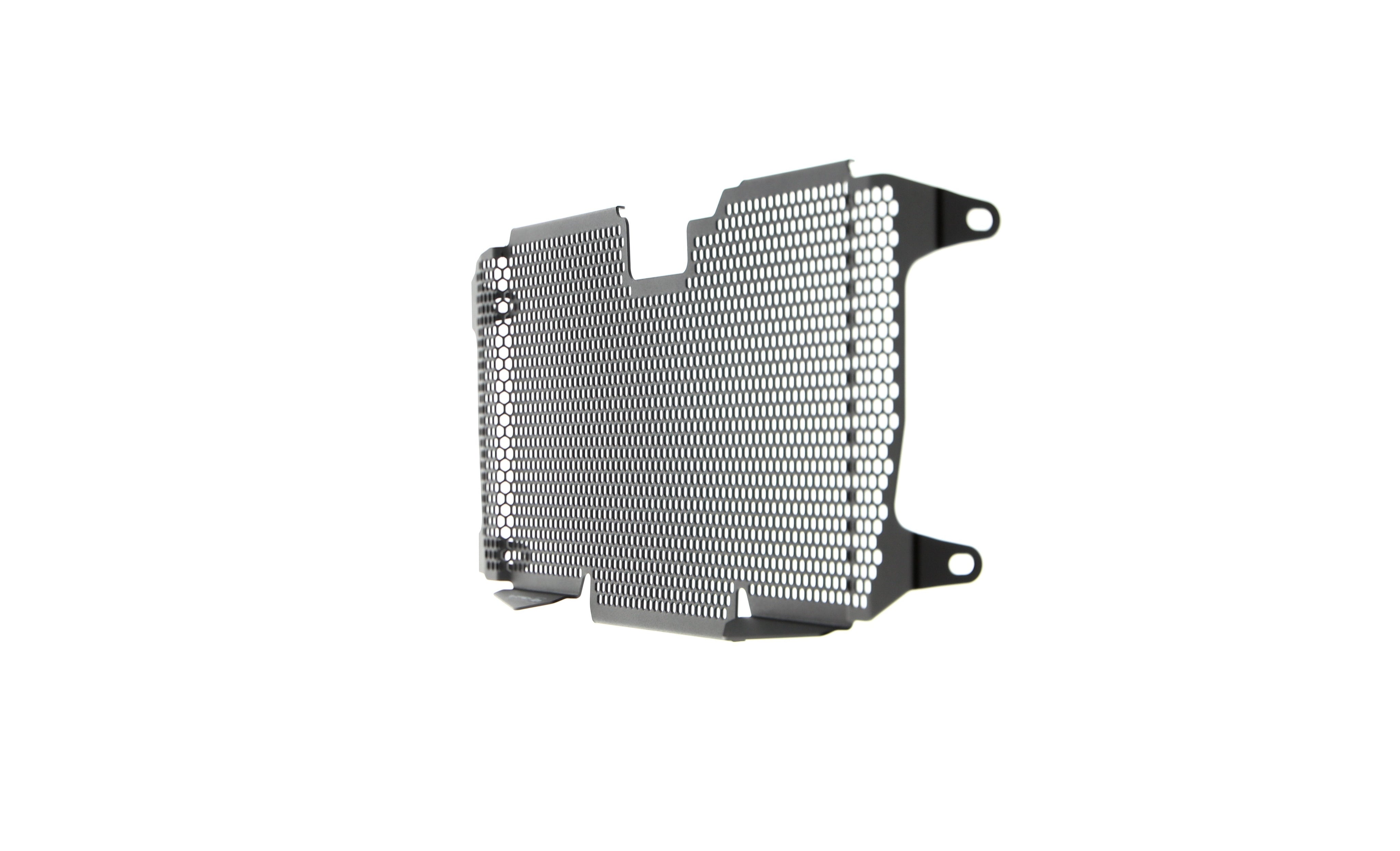 EP BMW R 1200 RS Radiator Guard 2015 - 2018
