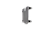 EP BMW R 1200 R Radiator Guard 2015 - 2018