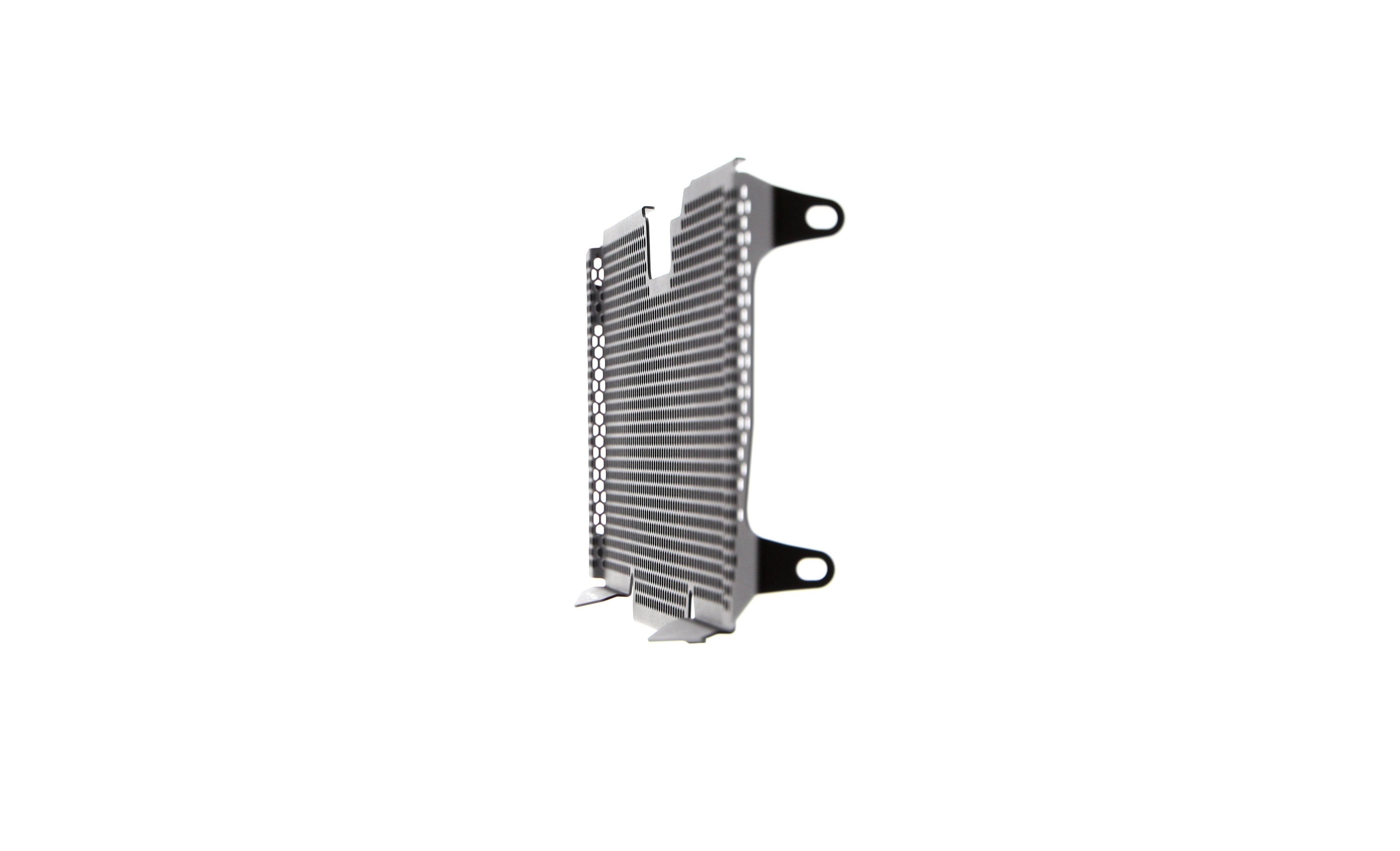 EP BMW R 1200 RS Radiator Guard 2015 - 2018