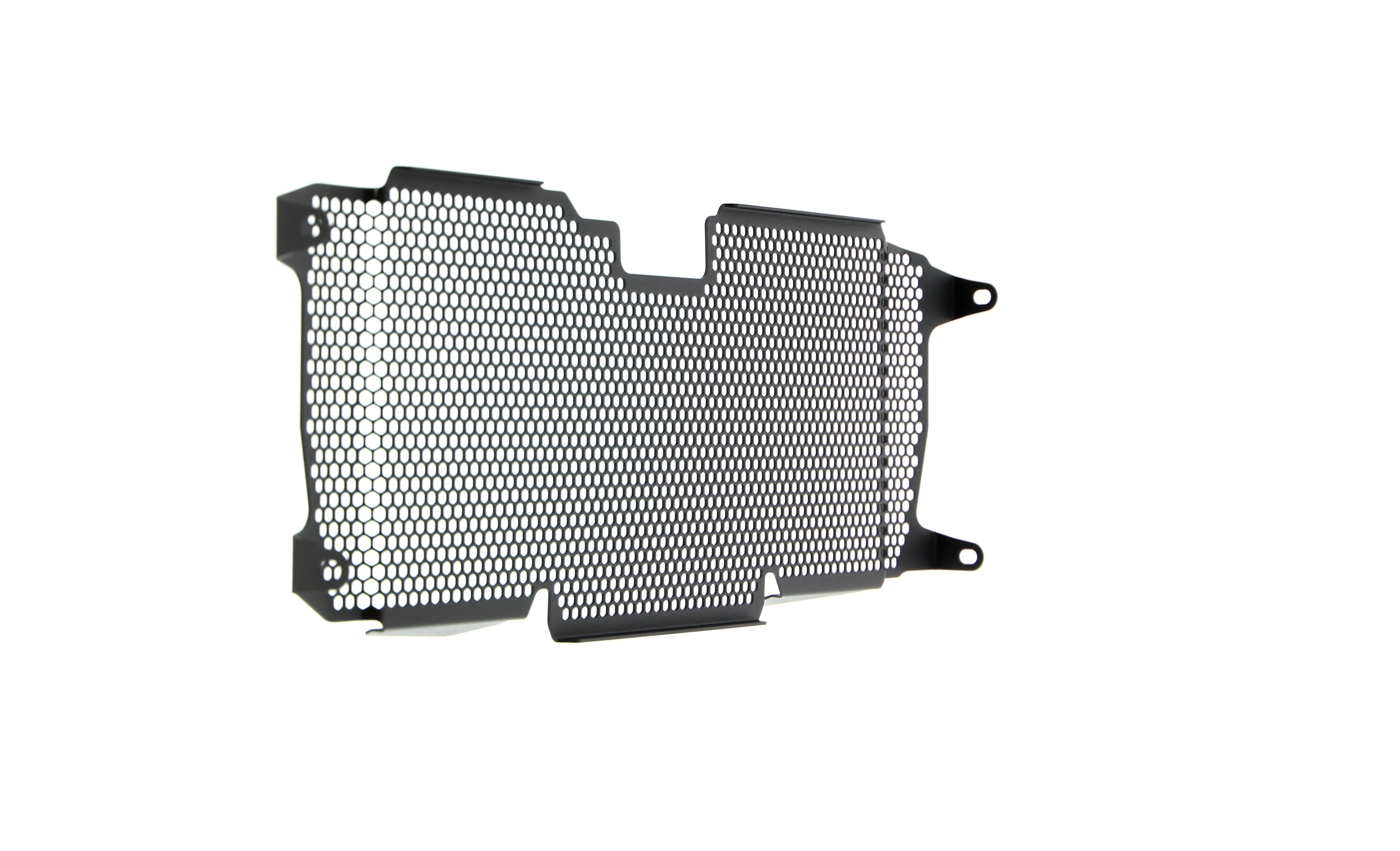 EP BMW R 1200 R Radiator Guard 2015 - 2018