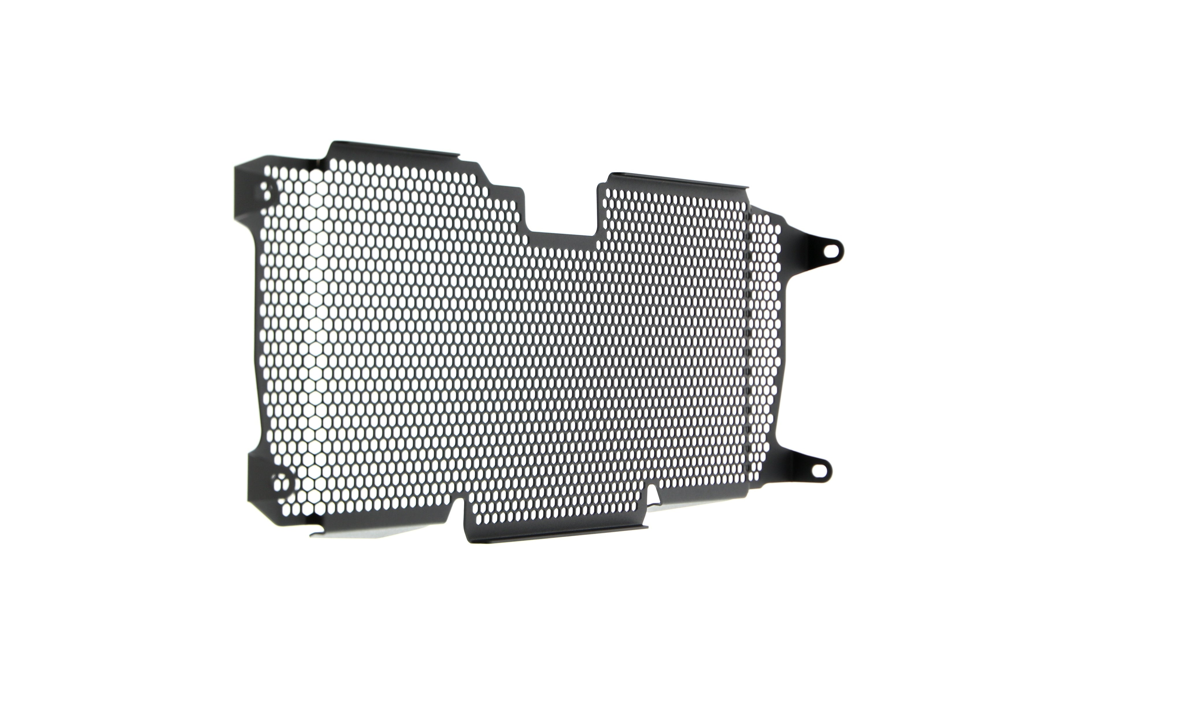 EP BMW R 1200 RS Radiator Guard 2015 - 2018