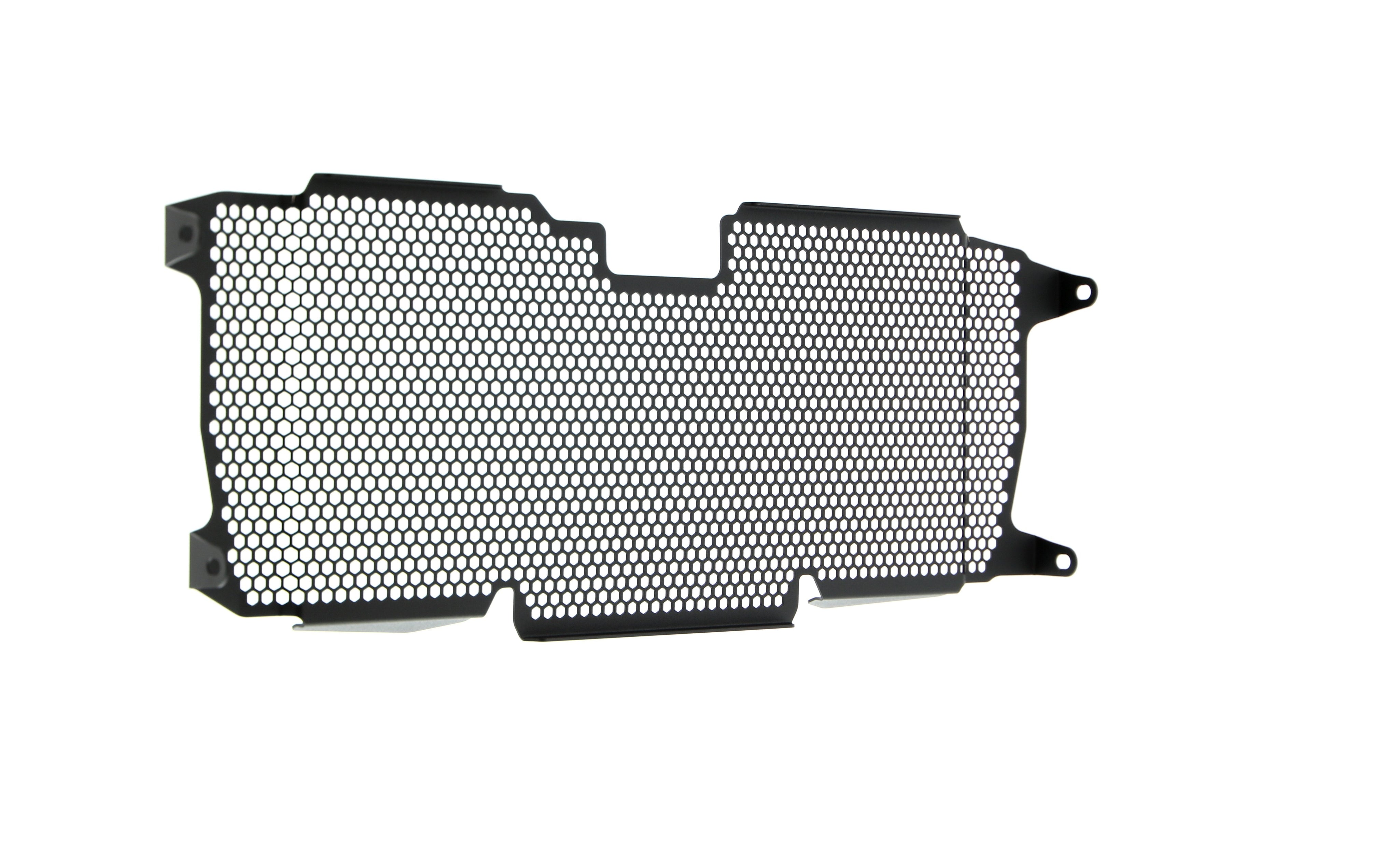 EP BMW R 1200 R Radiator Guard 2015 - 2018
