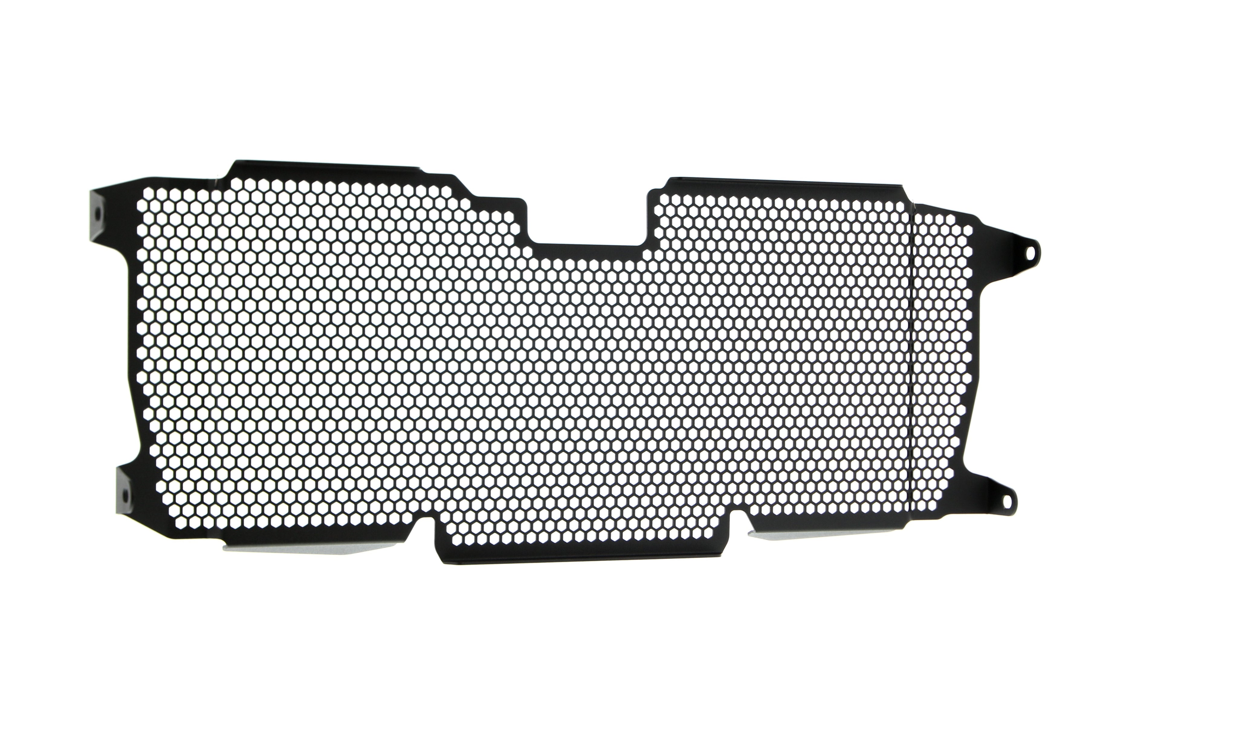 EP BMW R 1200 R Radiator Guard 2015 - 2018