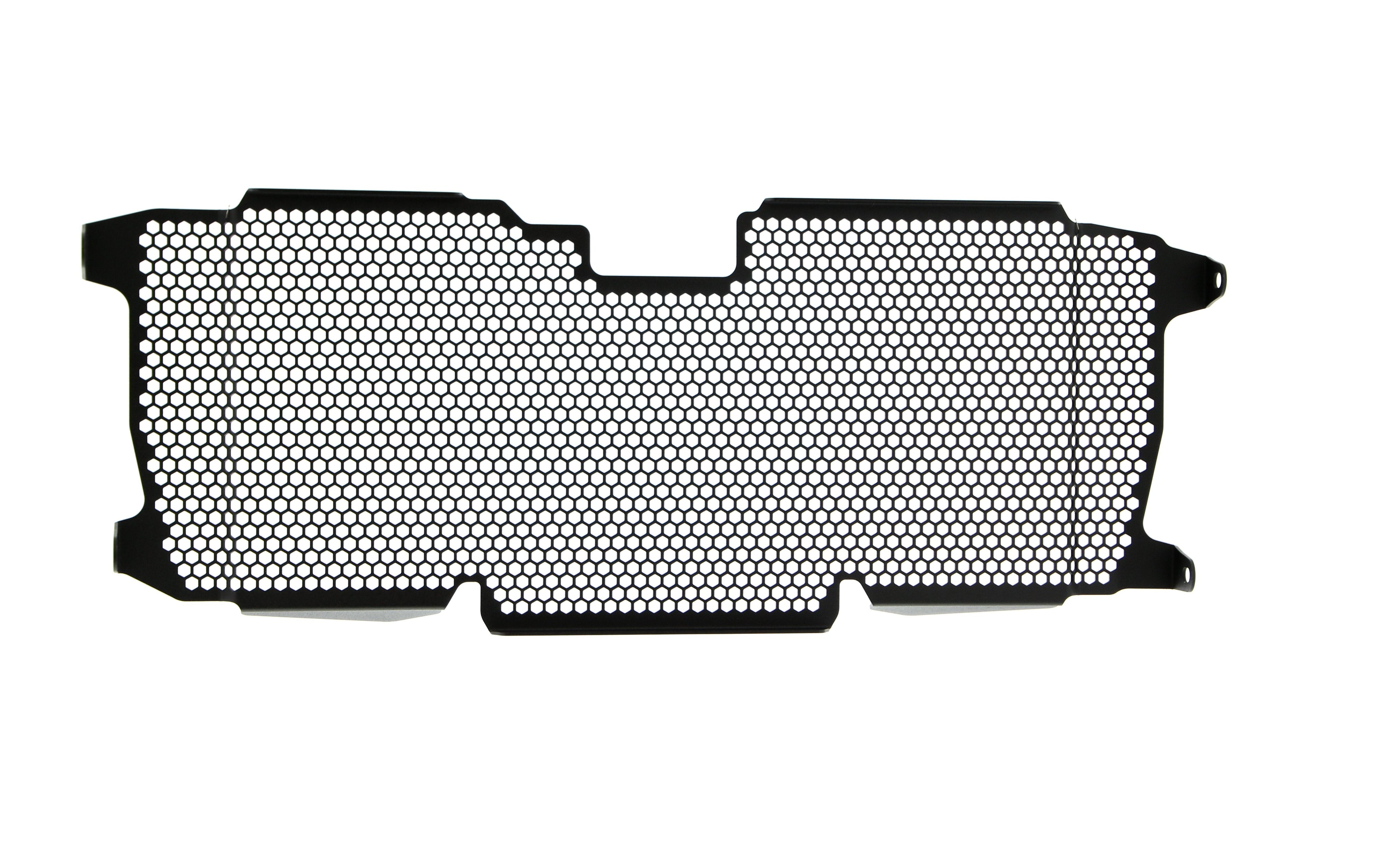 EP BMW R 1200 R Radiator Guard 2015 - 2018