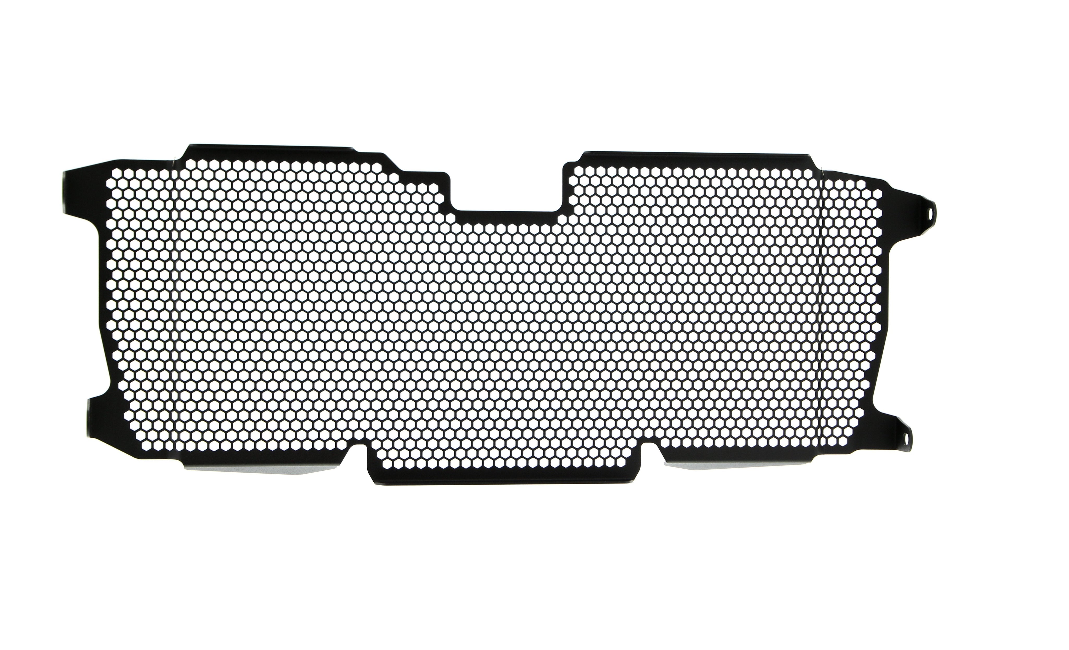 EP BMW R 1200 RS Radiator Guard 2015 - 2018