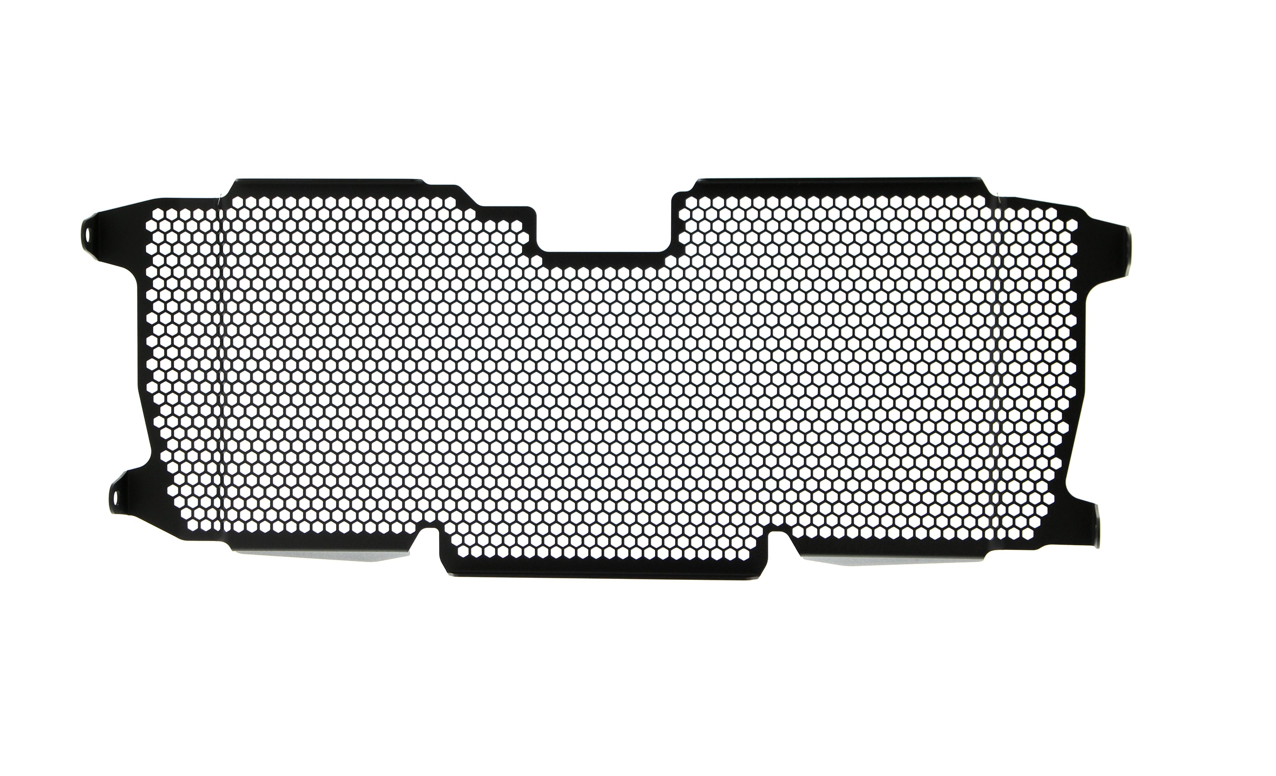 EP BMW R 1200 R Radiator Guard 2015 - 2018
