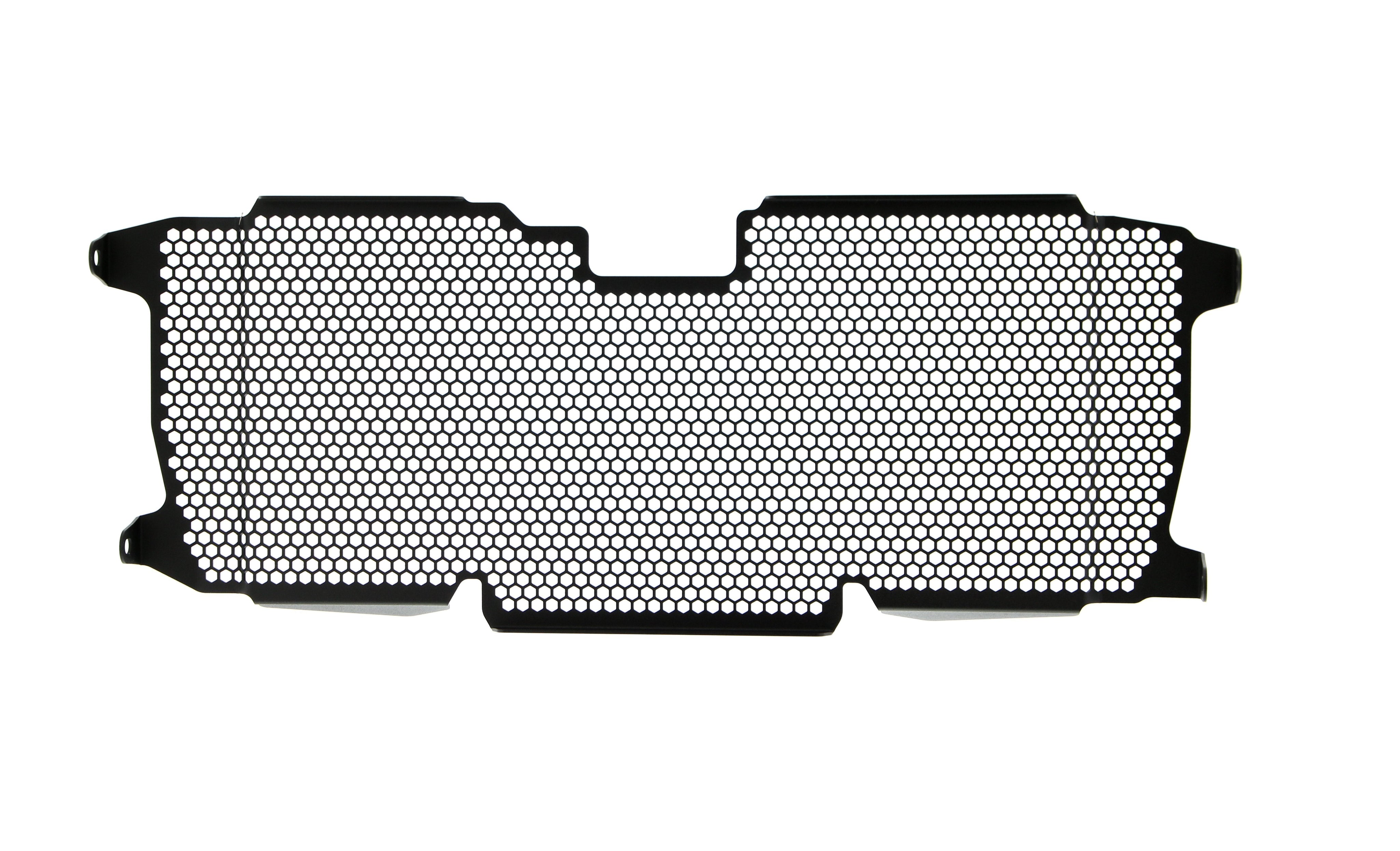 EP BMW R 1200 RS Radiator Guard 2015 - 2018