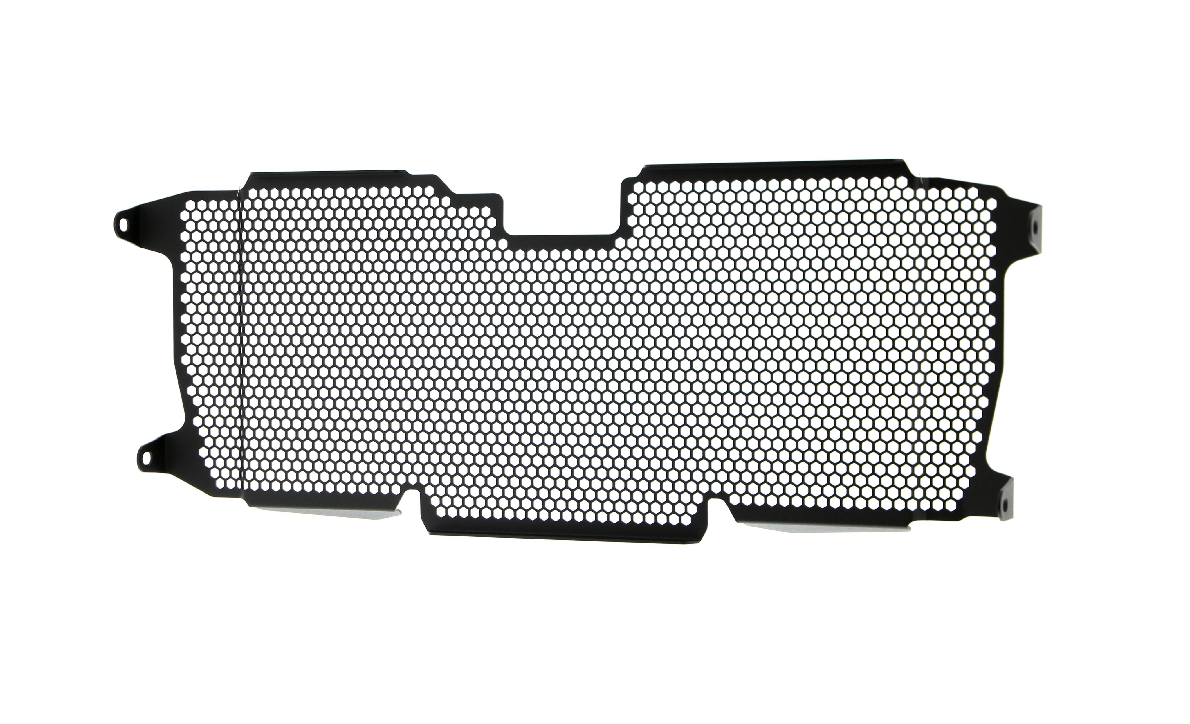 EP BMW R 1200 R Radiator Guard 2015 - 2018
