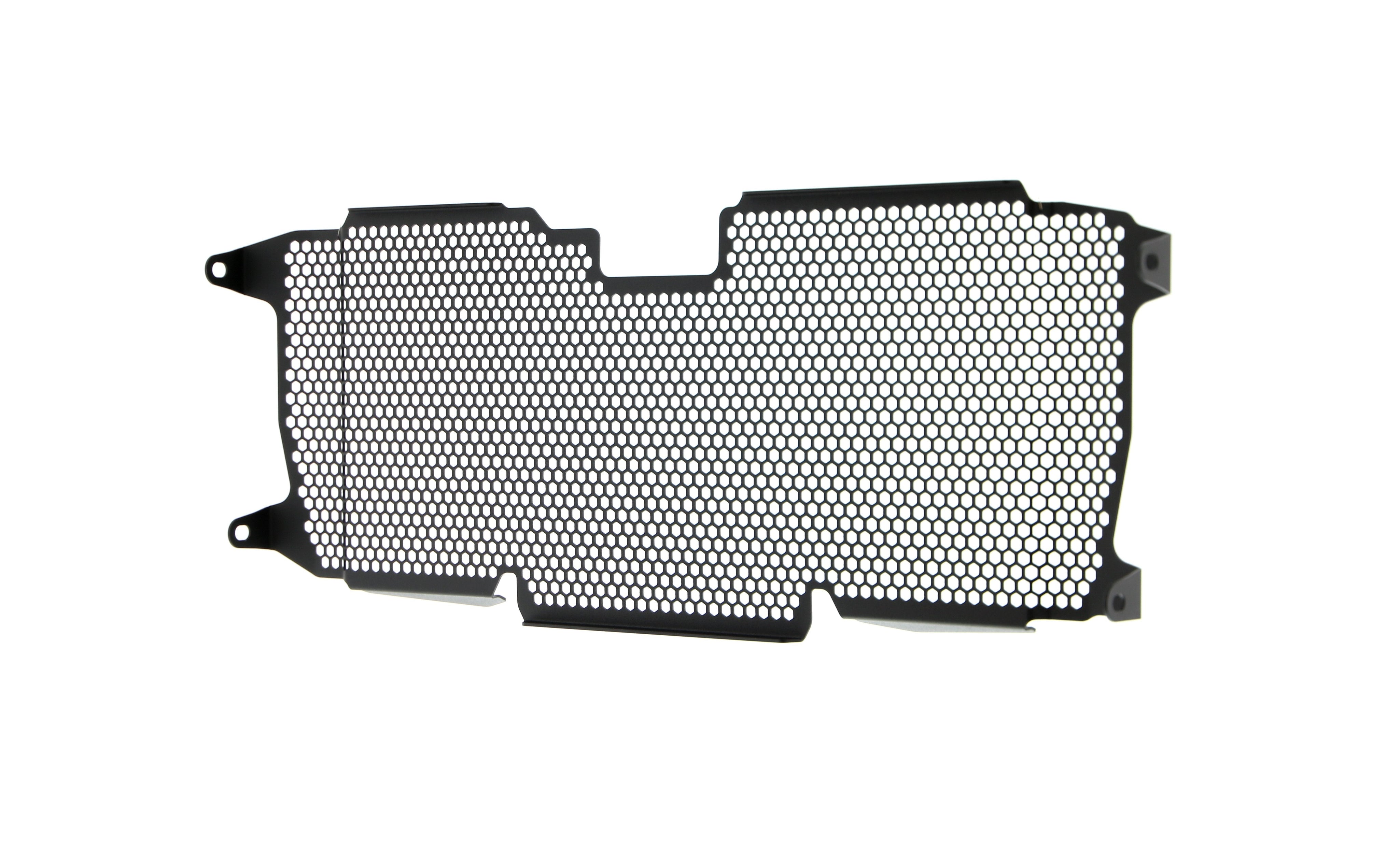 EP BMW R 1200 R Radiator Guard 2015 - 2018