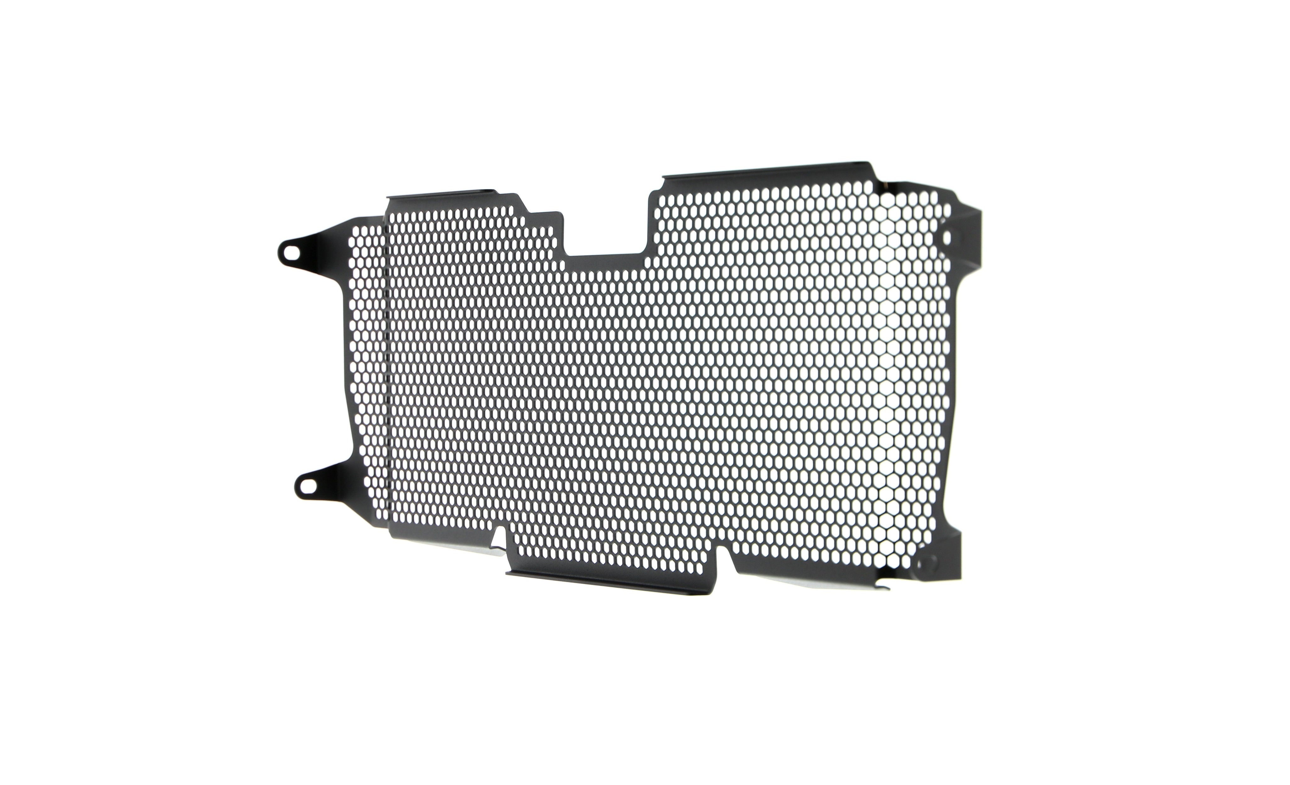 EP BMW R 1200 R Radiator Guard 2015 - 2018