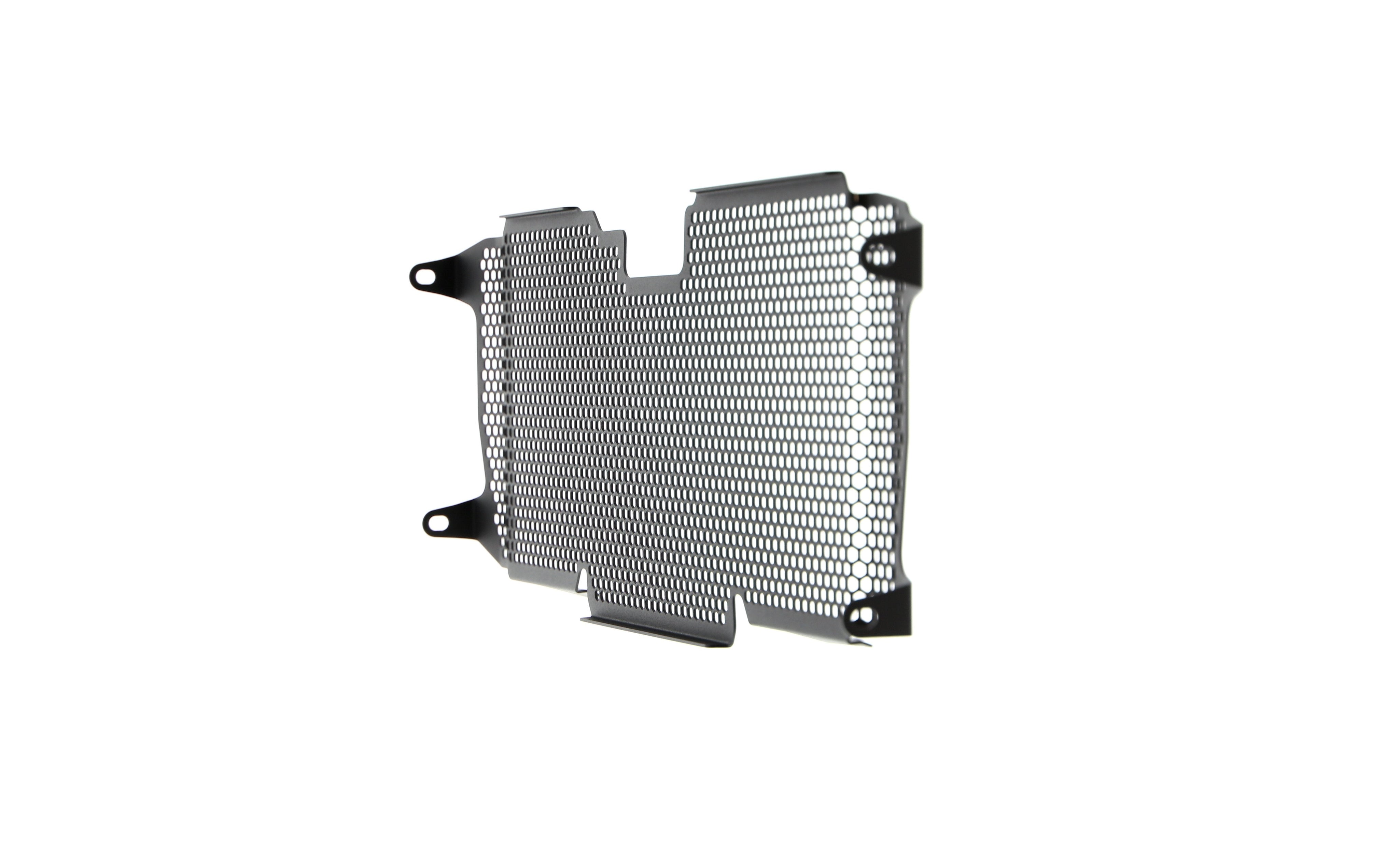 EP BMW R 1200 R Radiator Guard 2015 - 2018
