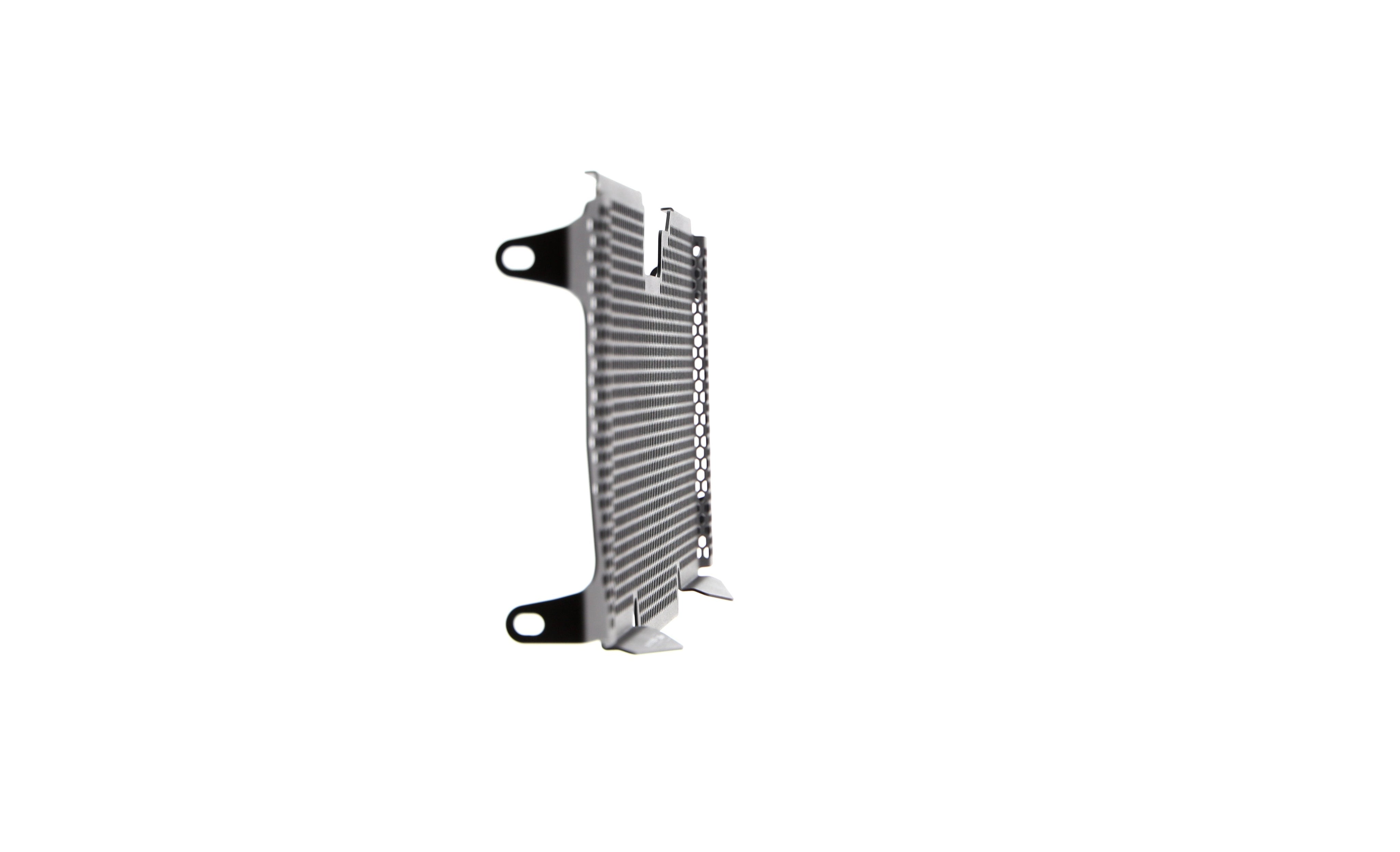 EP BMW R 1200 R Radiator Guard 2015 - 2018