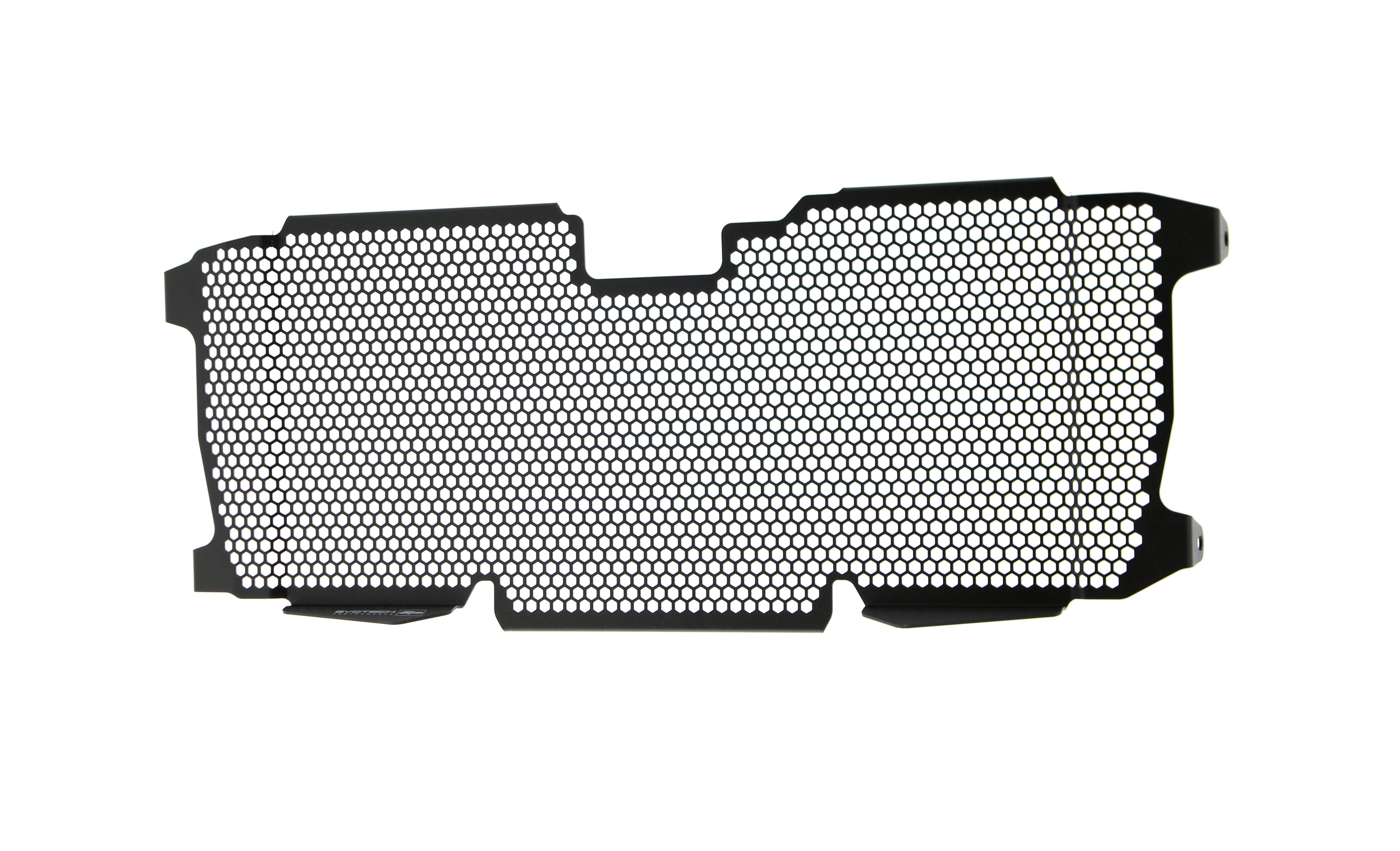 EP BMW R 1200 R Radiator Guard 2015 - 2018
