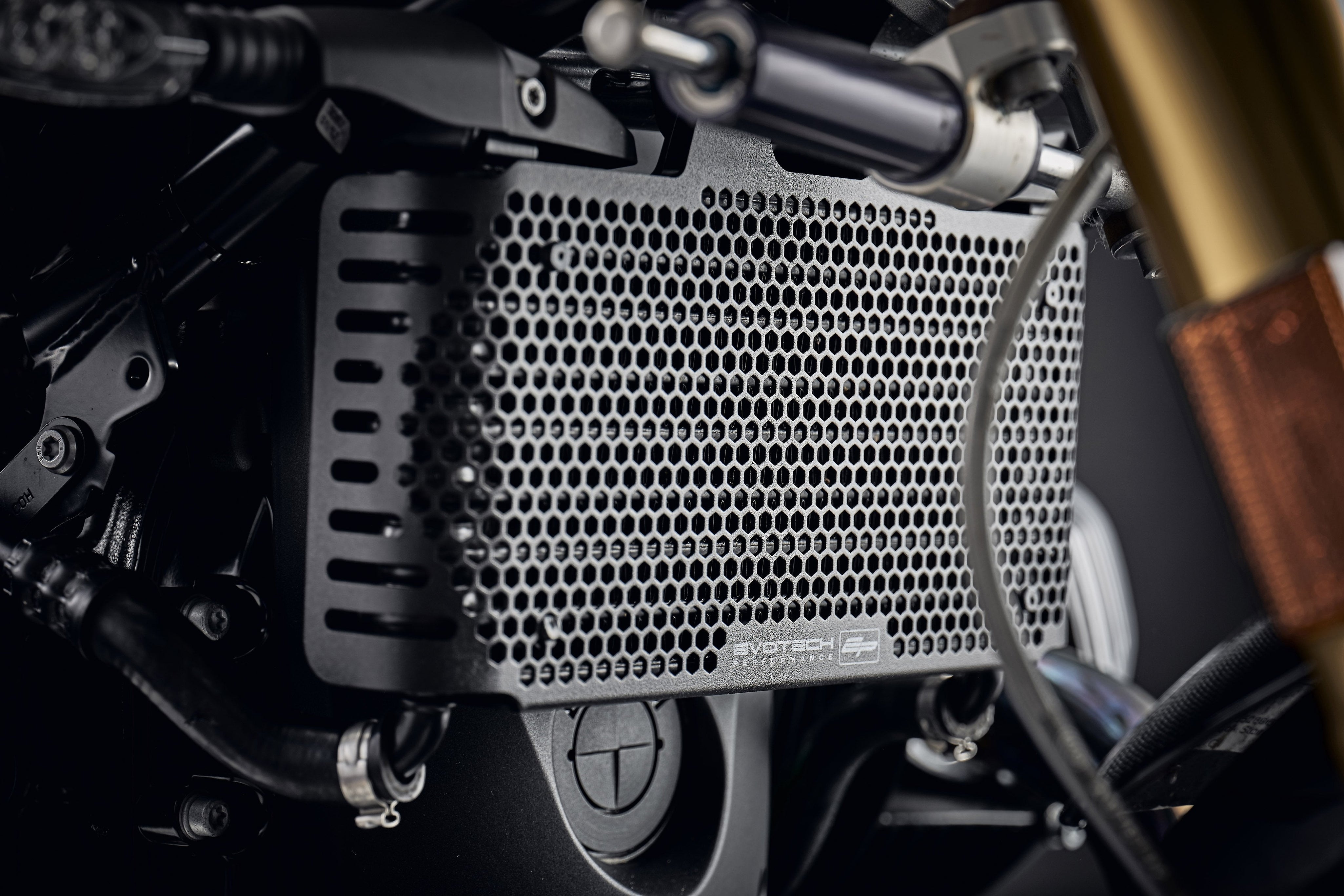 EP BMW R nineT Pure Oil Cooler Guard (2017+)